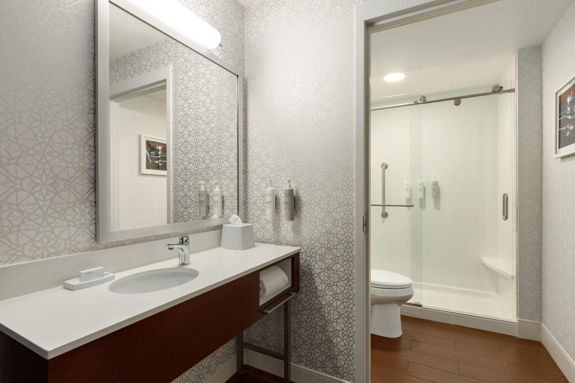 One-Bedroom King Suite Non-Smoking