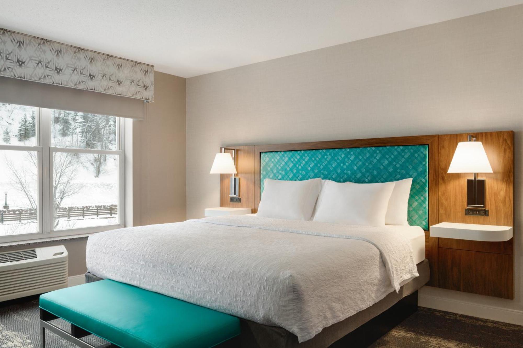 One-Bedroom King Suite Non-Smoking