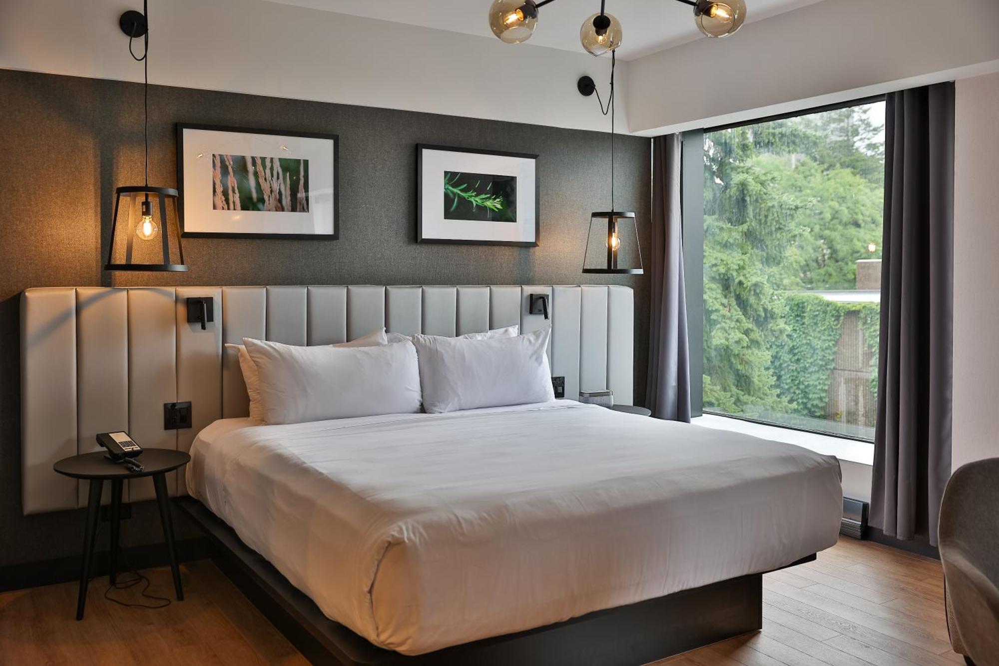 Junior Suite1 King Bed 1 Sofabed