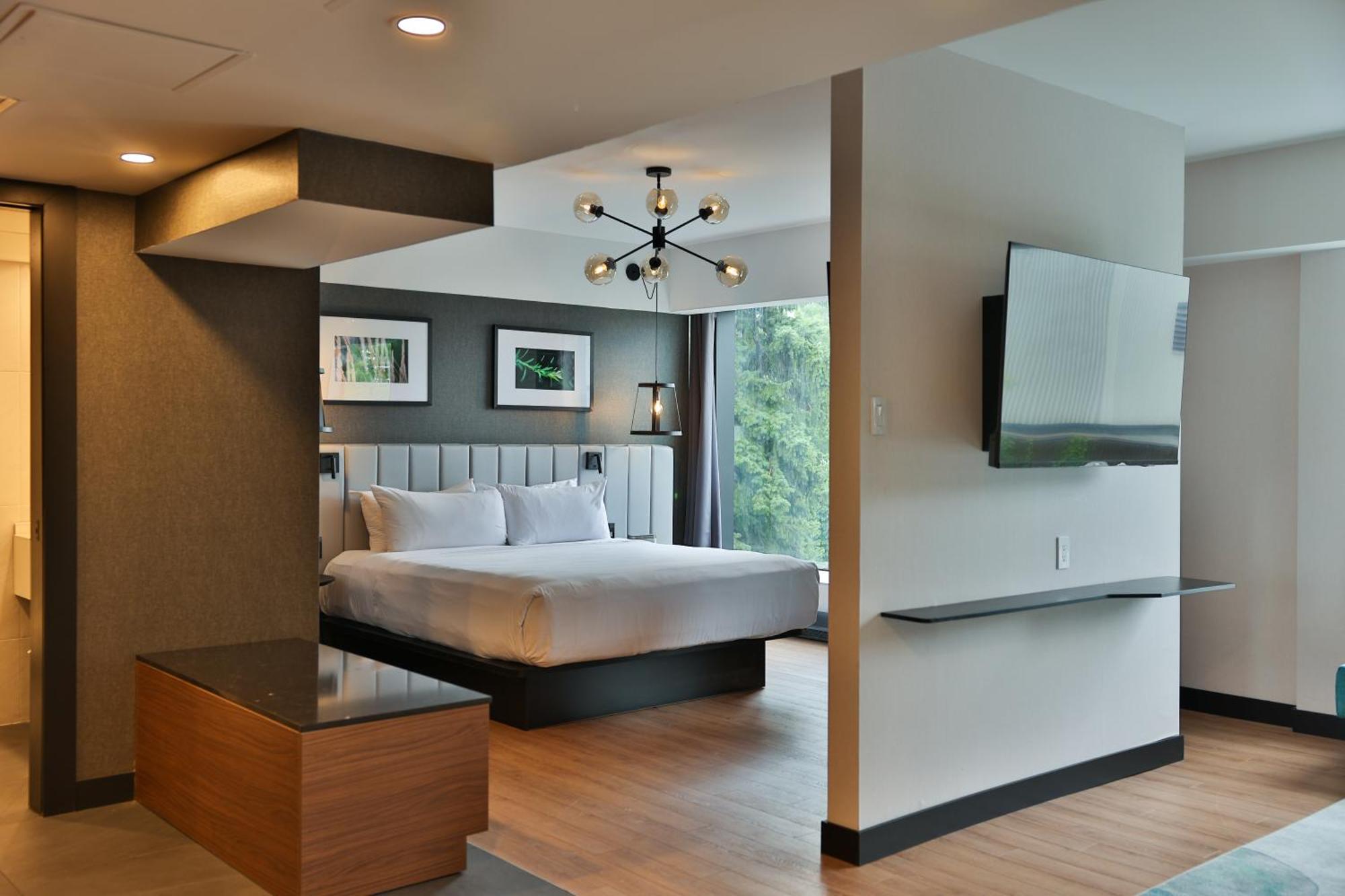 Junior Suite1 King Bed 1 Sofabed