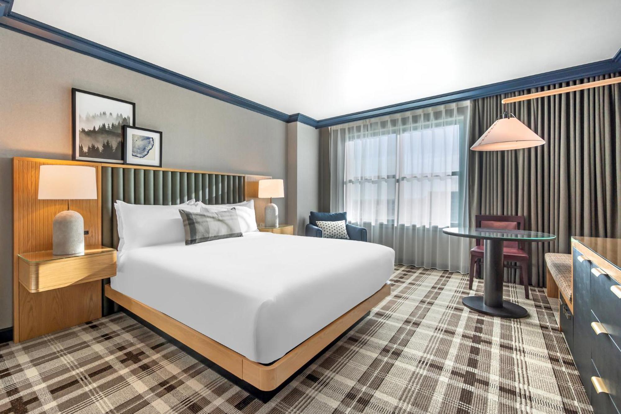 Spacious Mountain View Room 1 King Bed