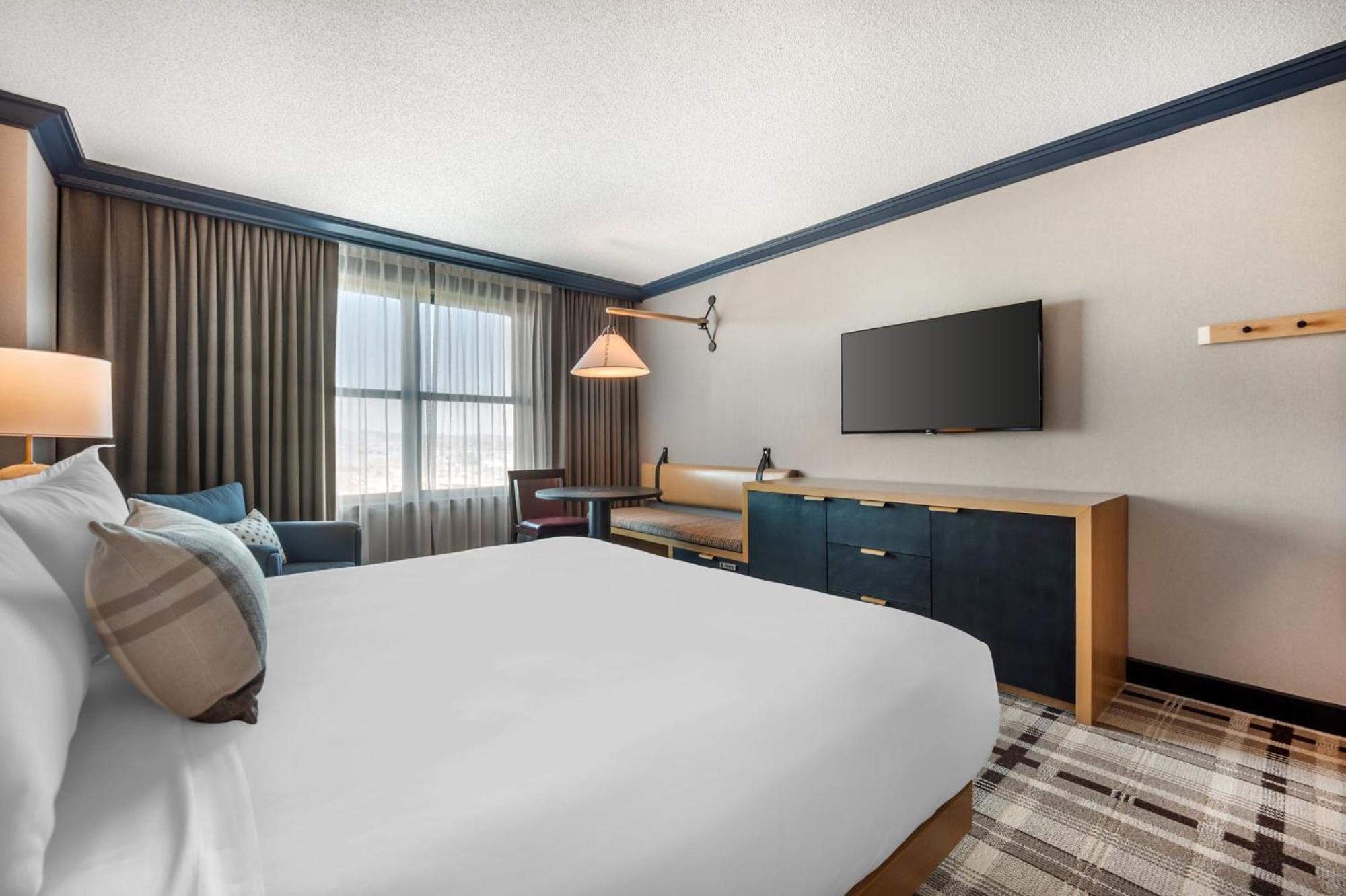 Spacious Mountain View Room 1 King Bed
