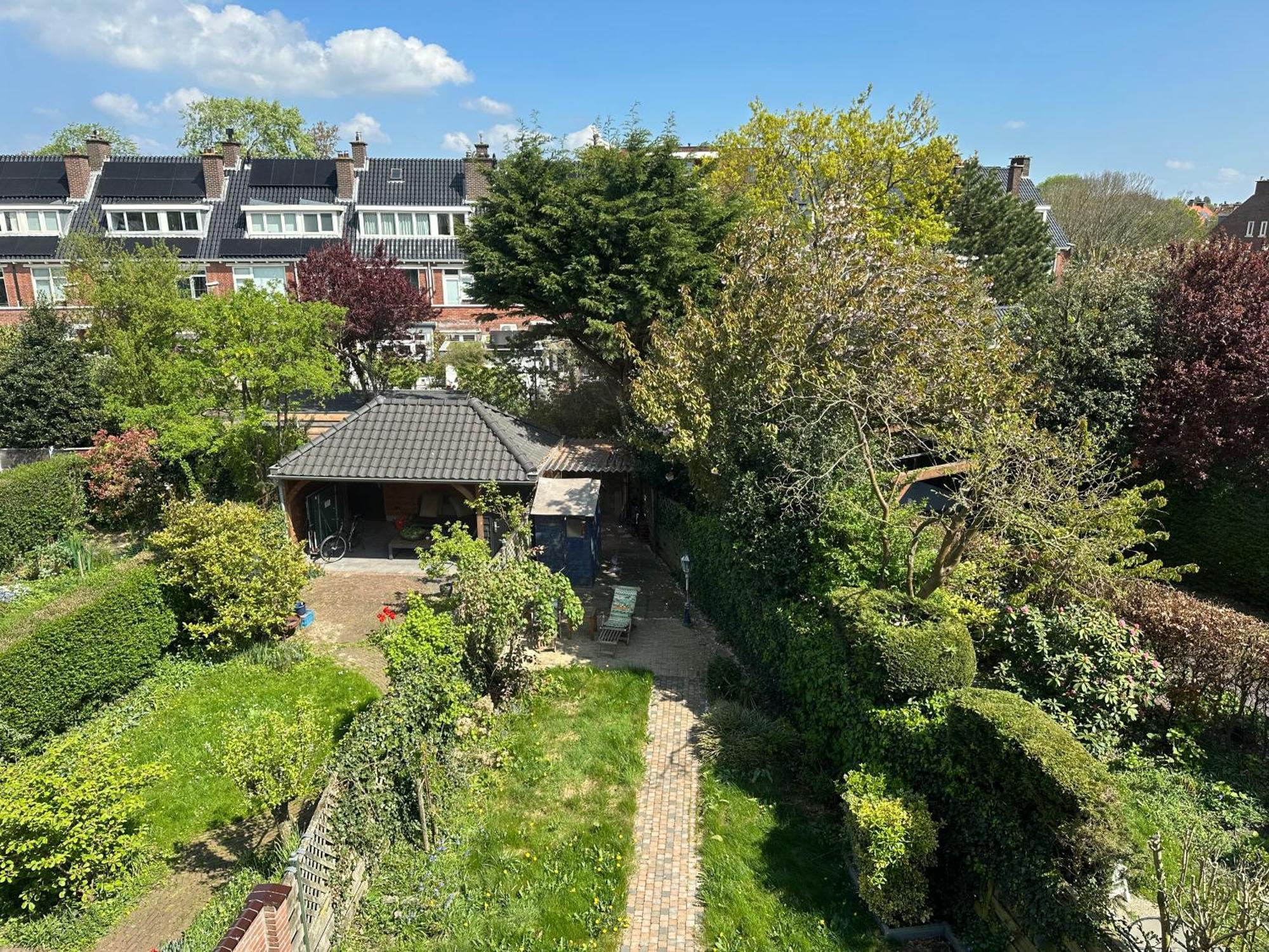King Room Garden View