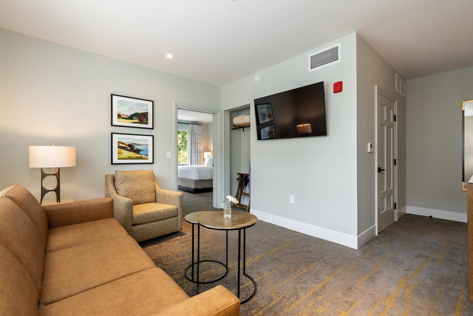 Forest King Suite sofa sleeper