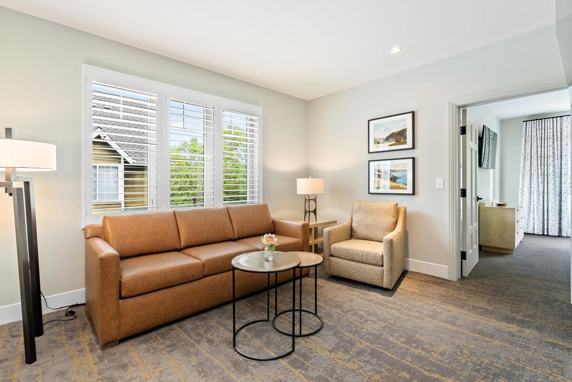 Forest King Suite sofa sleeper