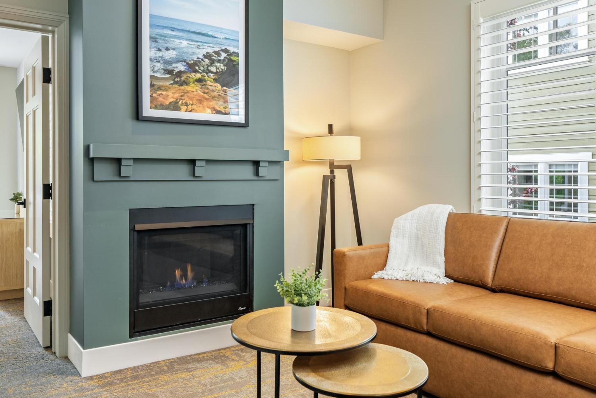 Forest King Suite sofa sleeper