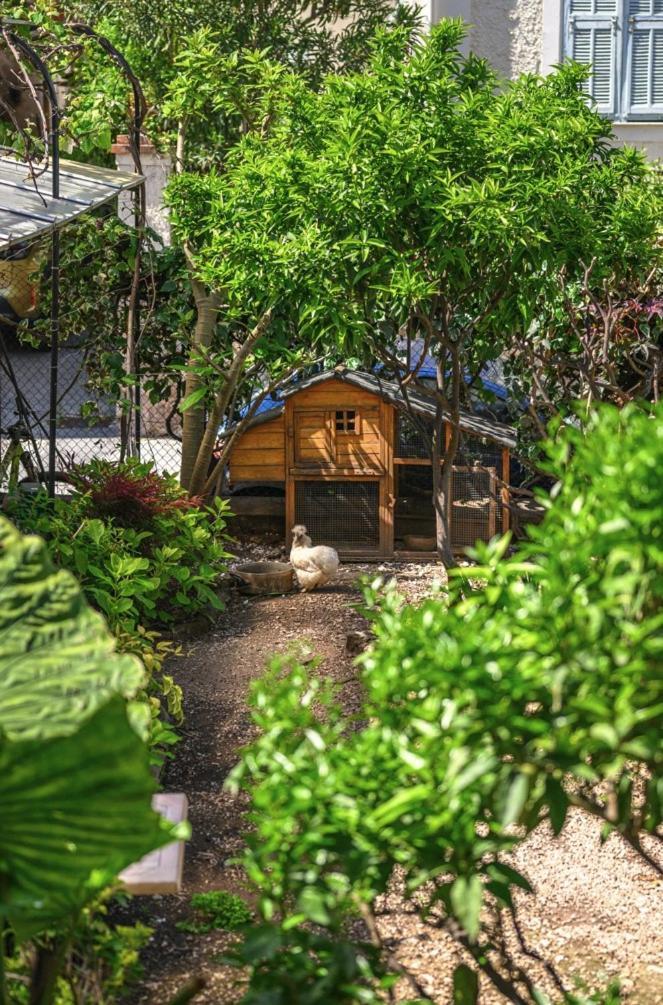 Double Room Garden View,1667432260:JPEG