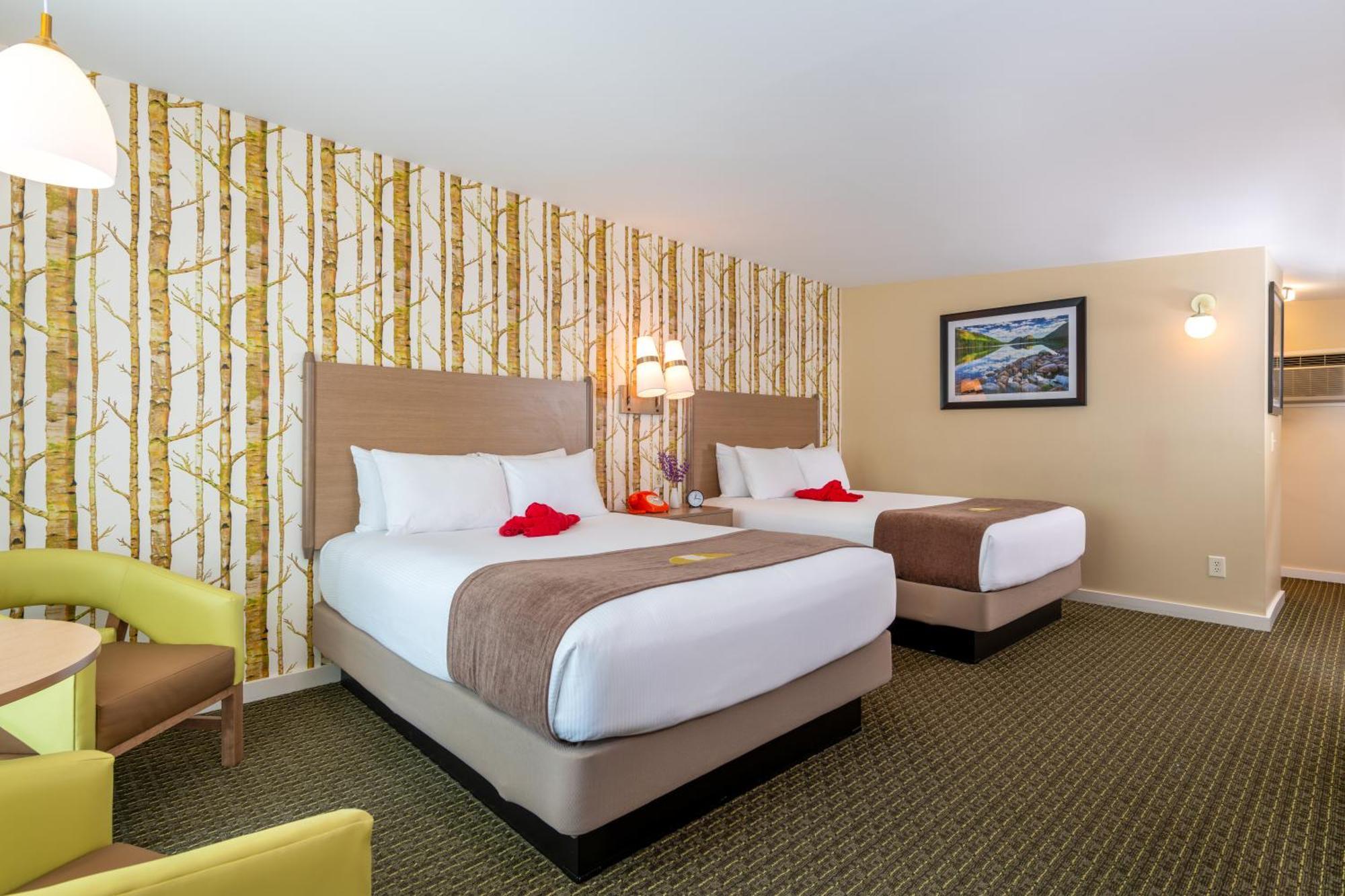 Queen Room Two Queen Beds