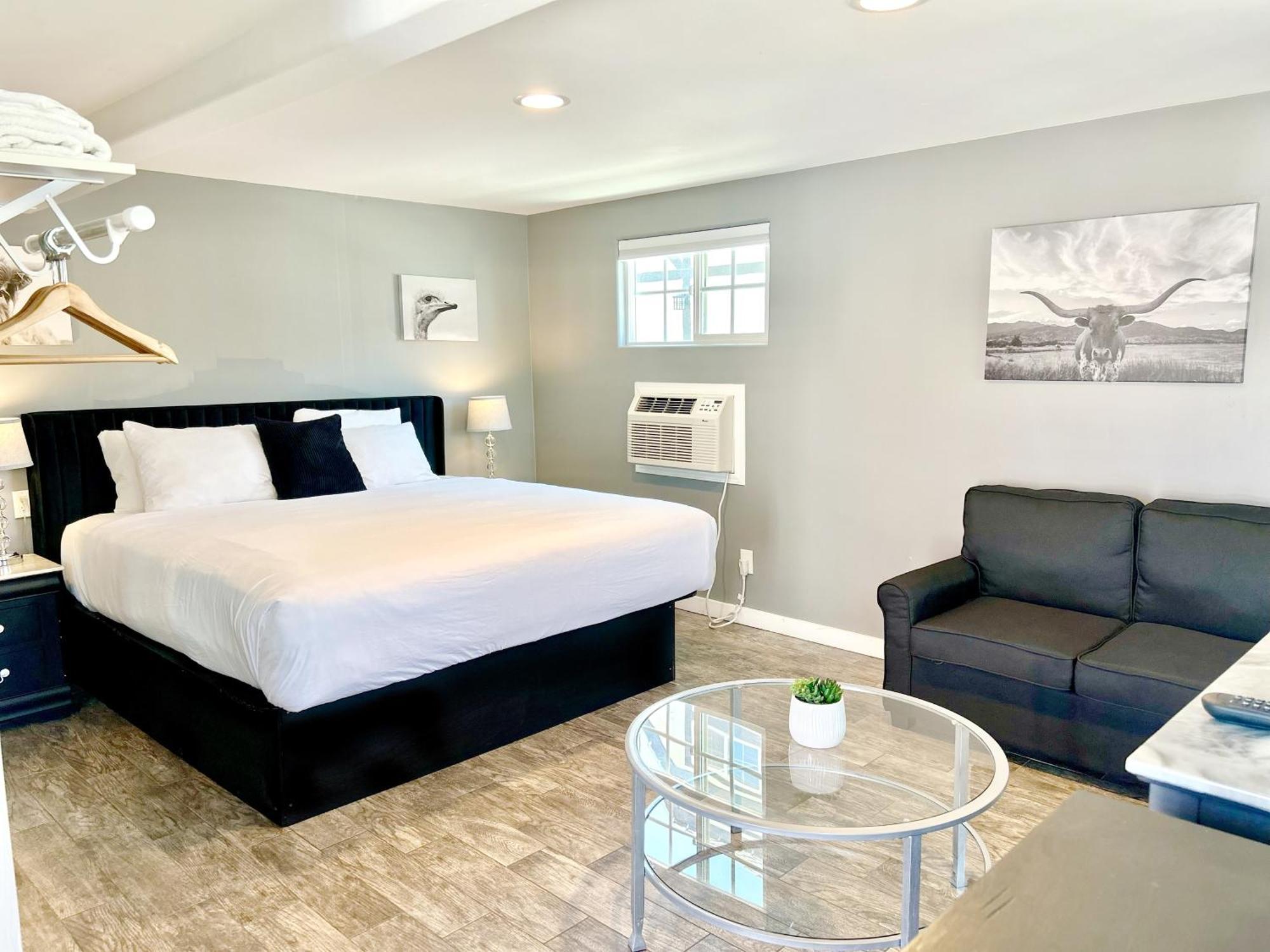 Queen Room Sofa Bed