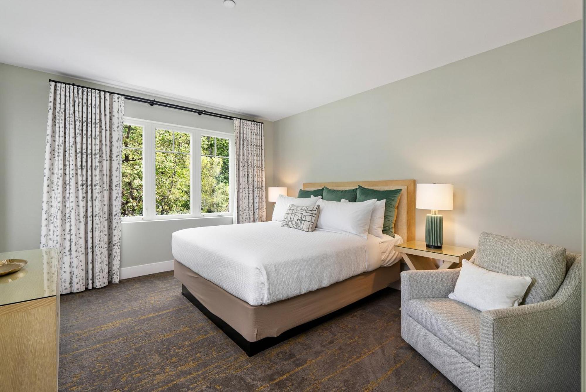 Forest King Suite sofa sleeper