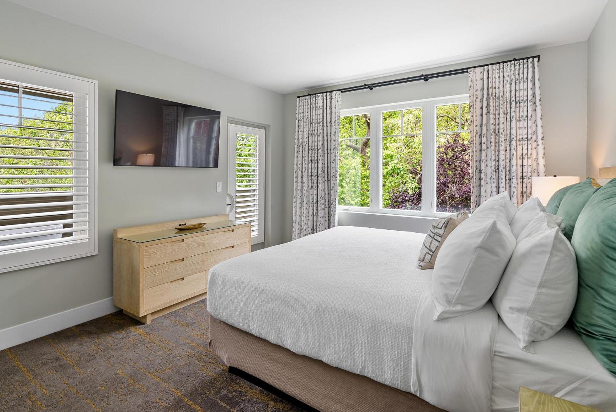 Forest King Suite sofa sleeper