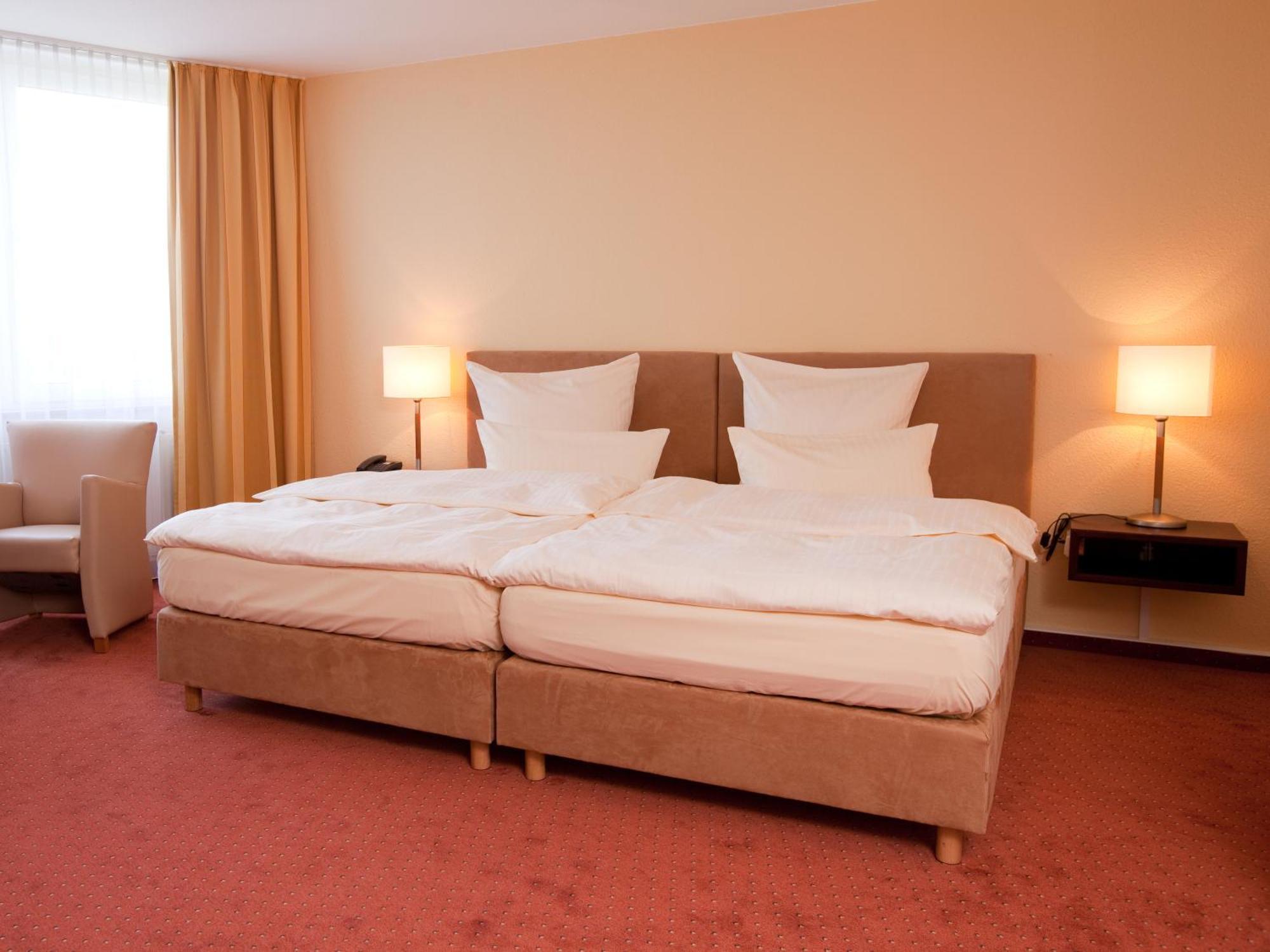 Standard Double Room partly Basel or Mountain View