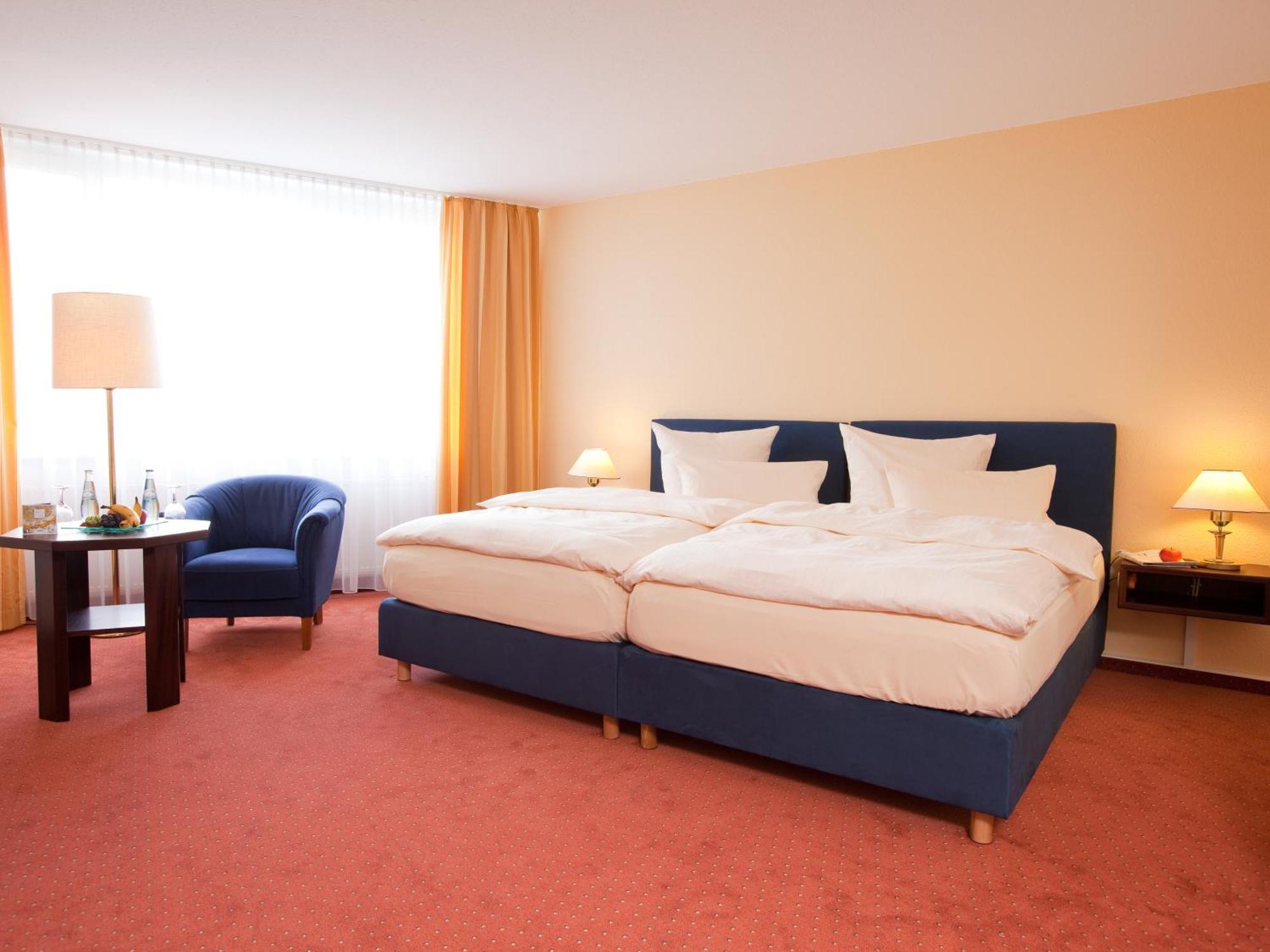 Standard Double Room partly Basel or Mountain View