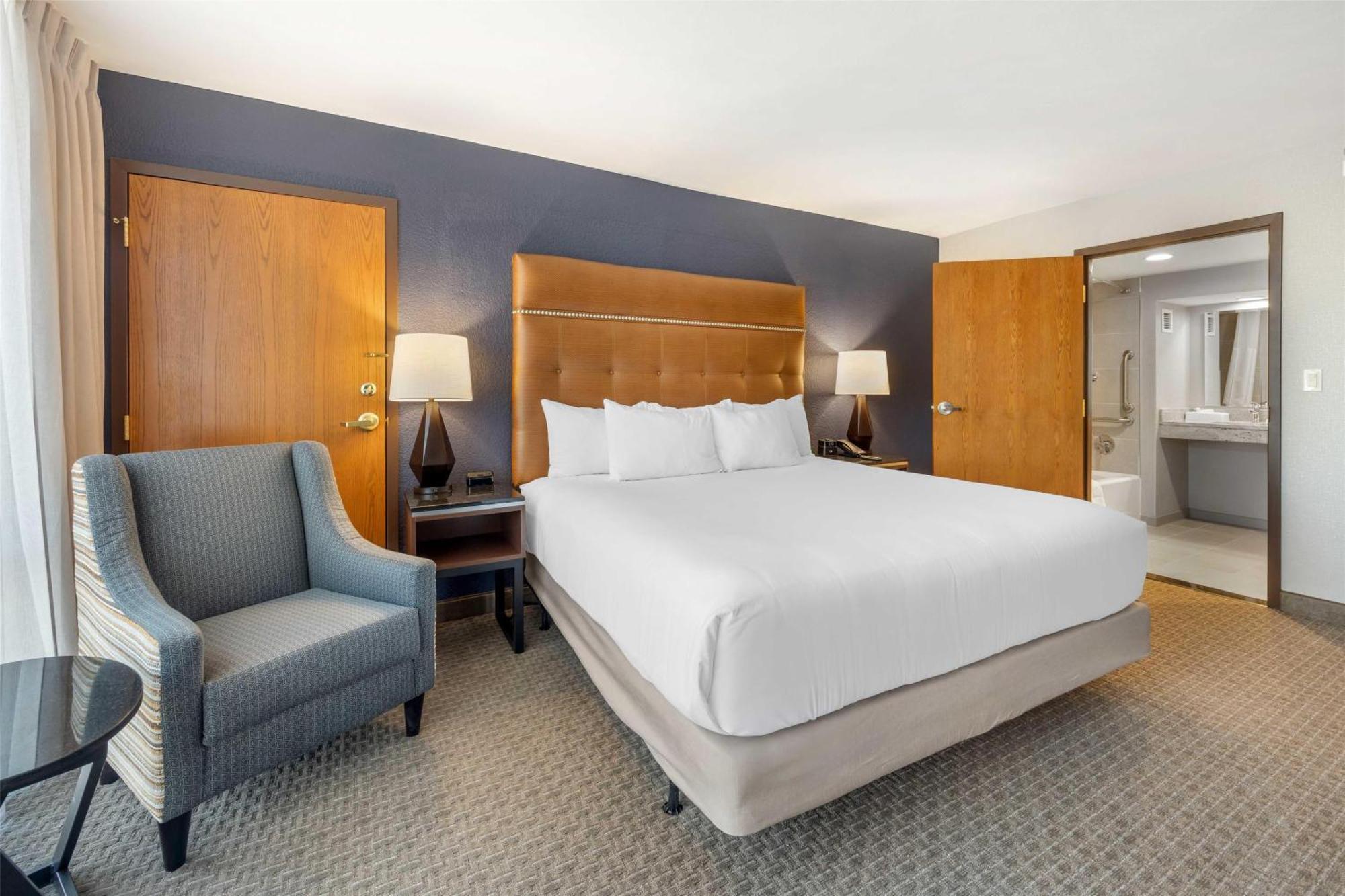 Deluxe King Room Accessible Roll Shower