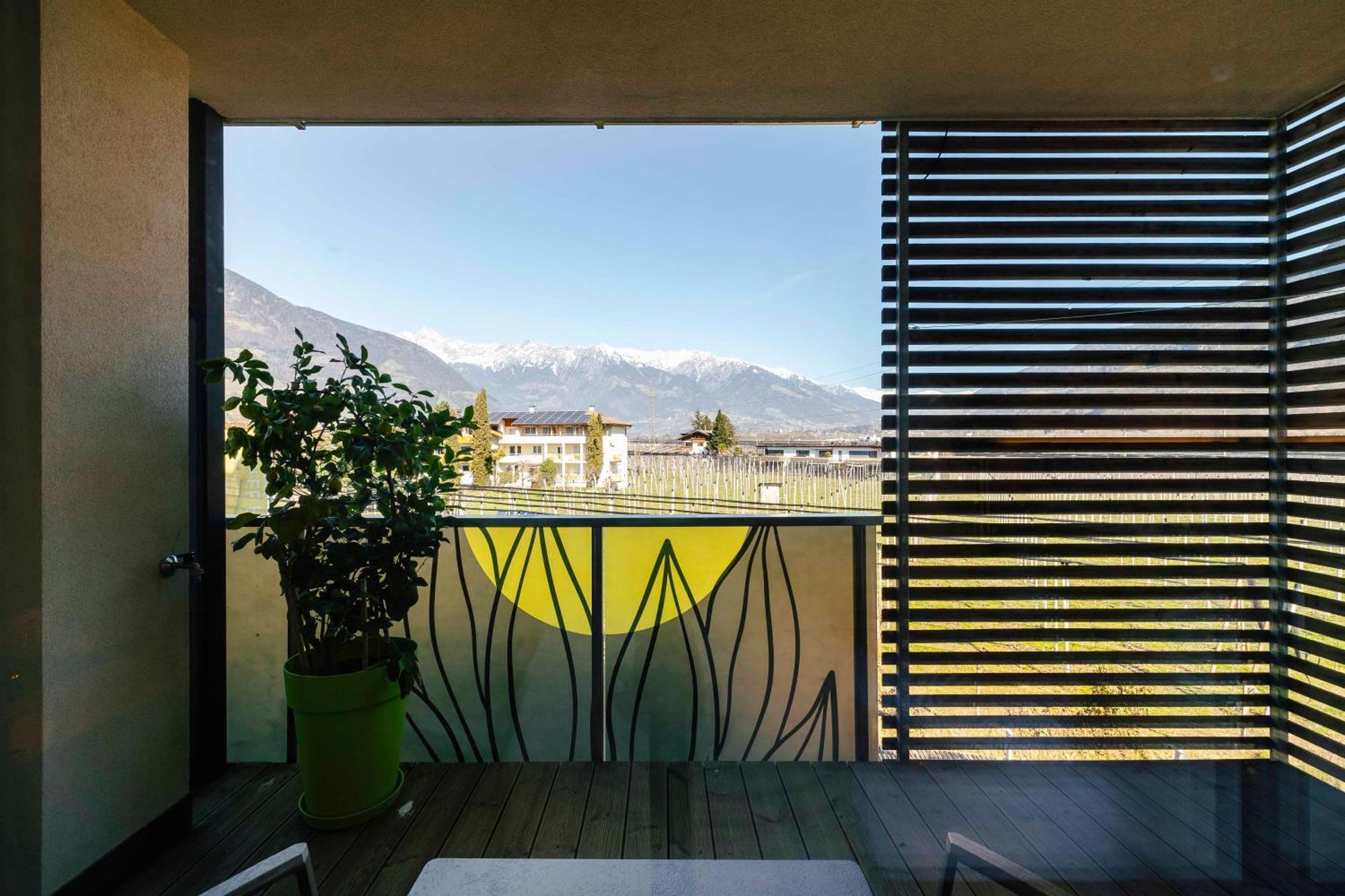 Superior Double or Twin Room Mountain View