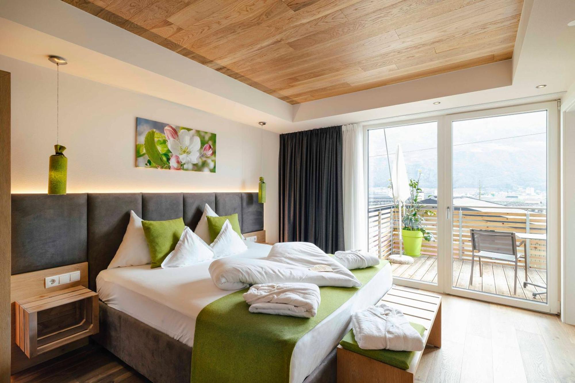 Superior Double or Twin Room Mountain View