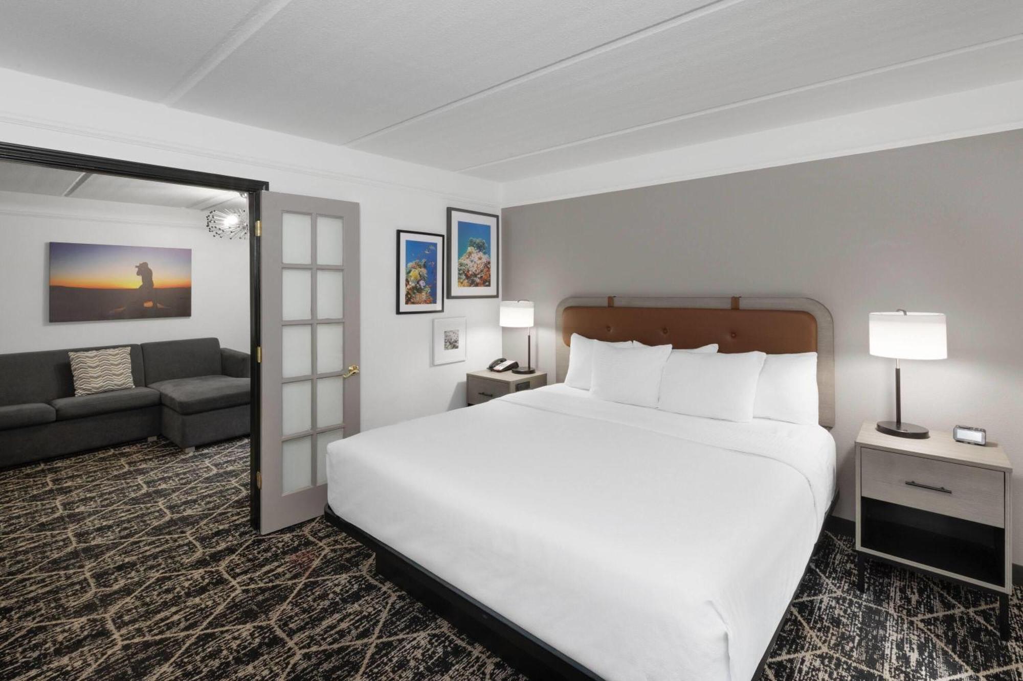 One-Bedroom King Suite Non-Smoking