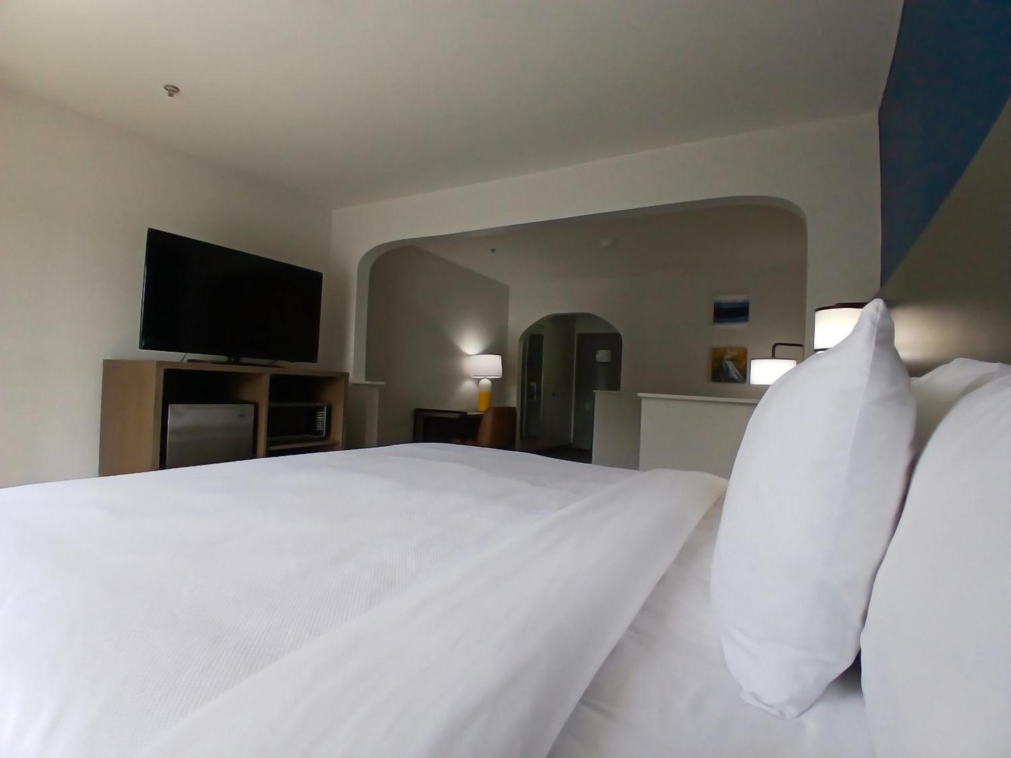 King Suite Sofa Bed Non-Smoking