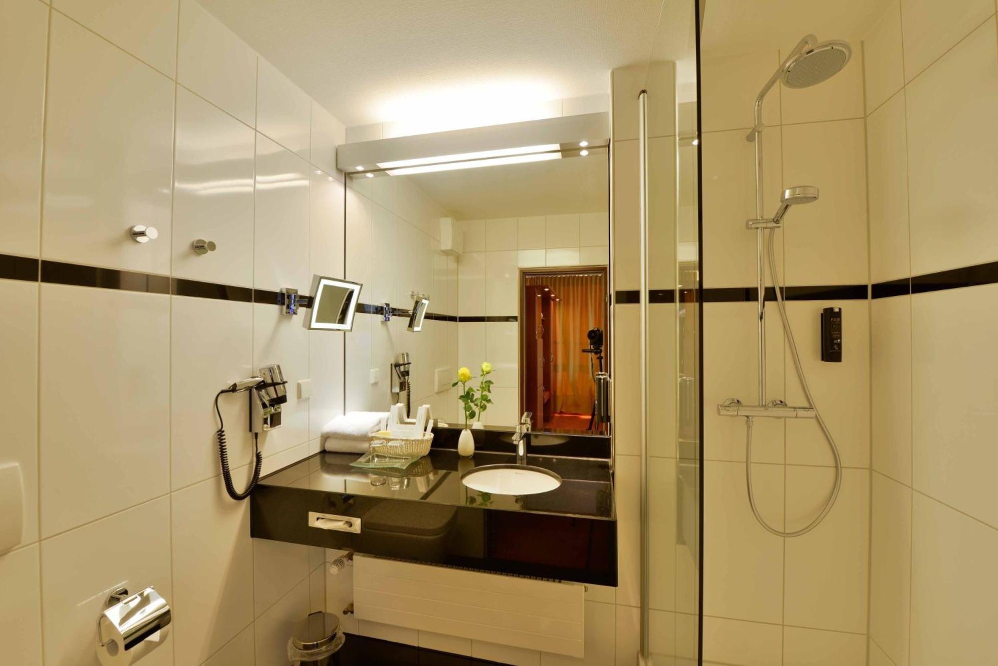 Standard Double Room partly Basel or Mountain View