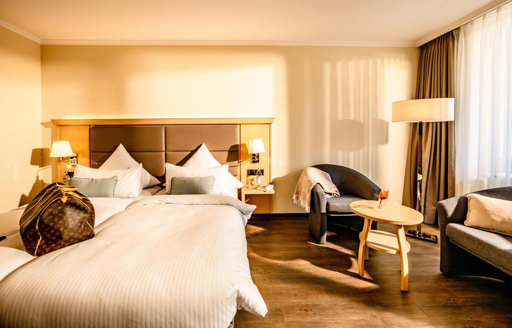 Double or Twin Room Mountain View