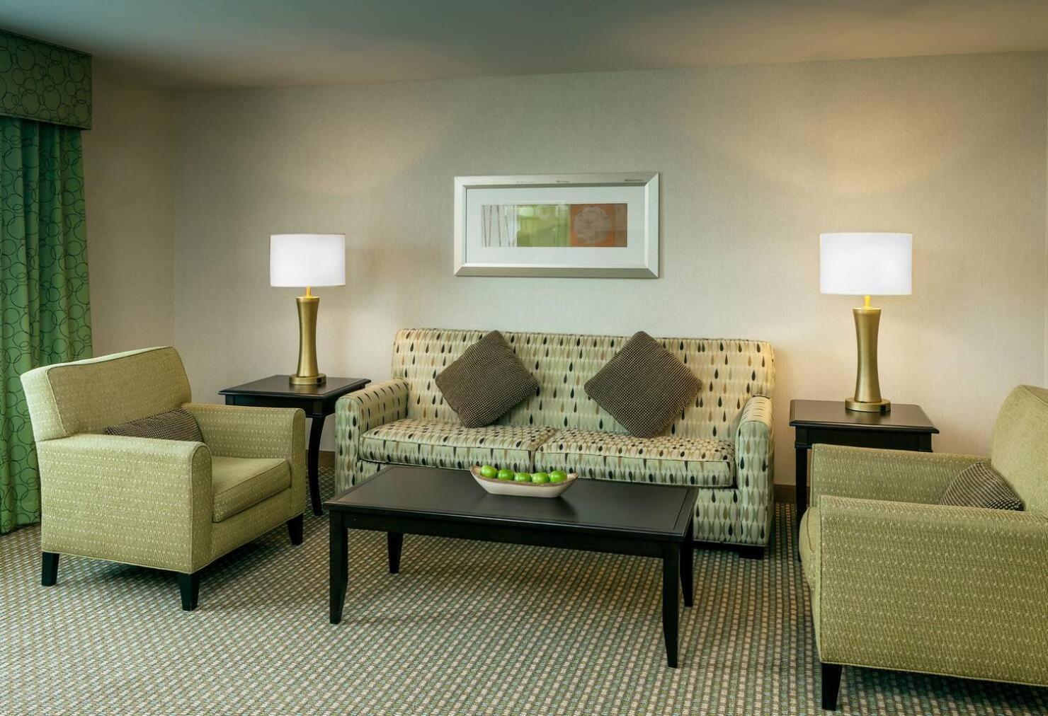 One-Bedroom King Suite