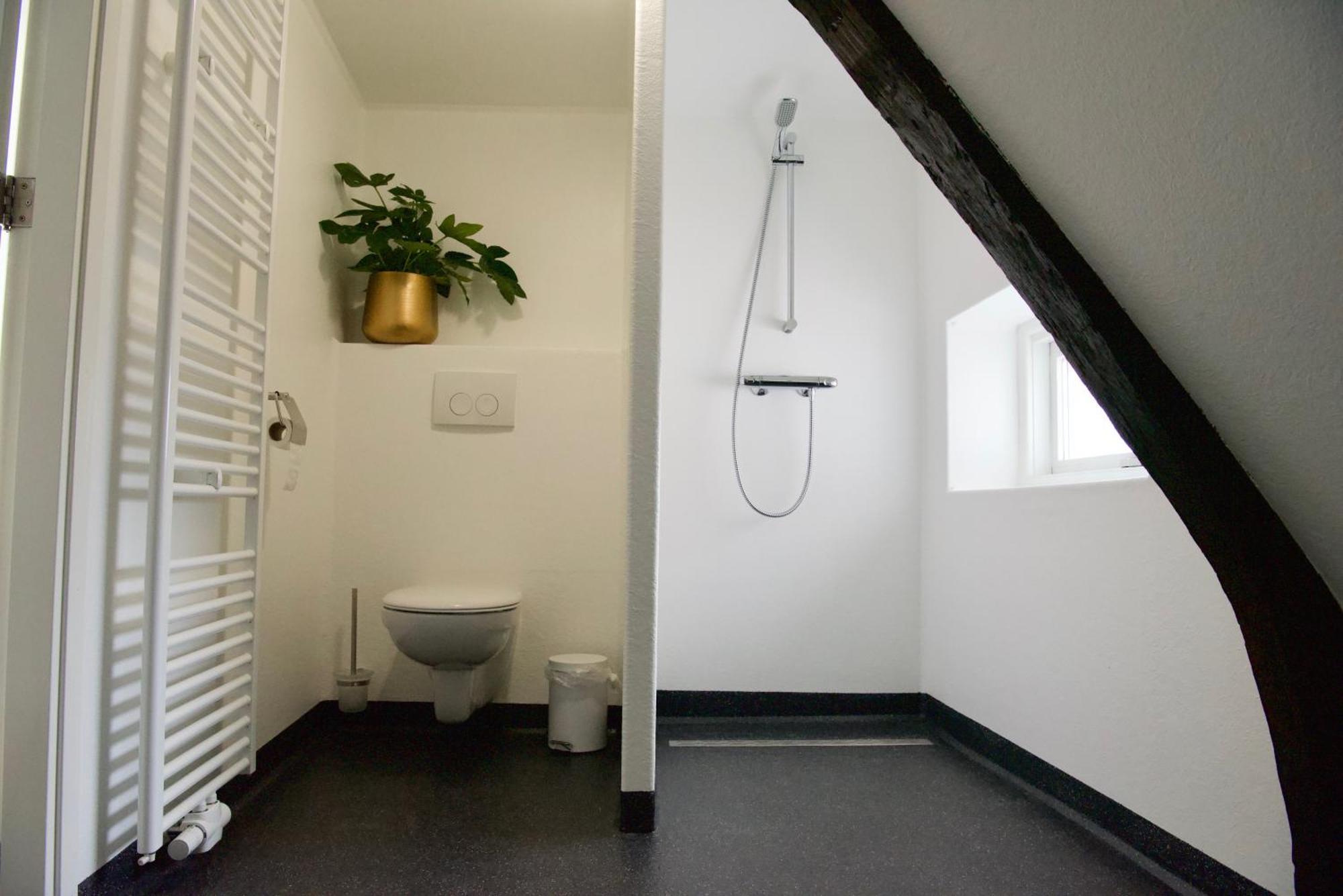 Deluxe Double Room Shower