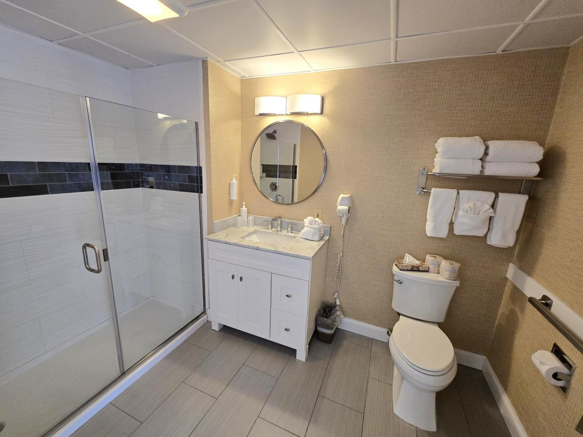 Deluxe King Suite