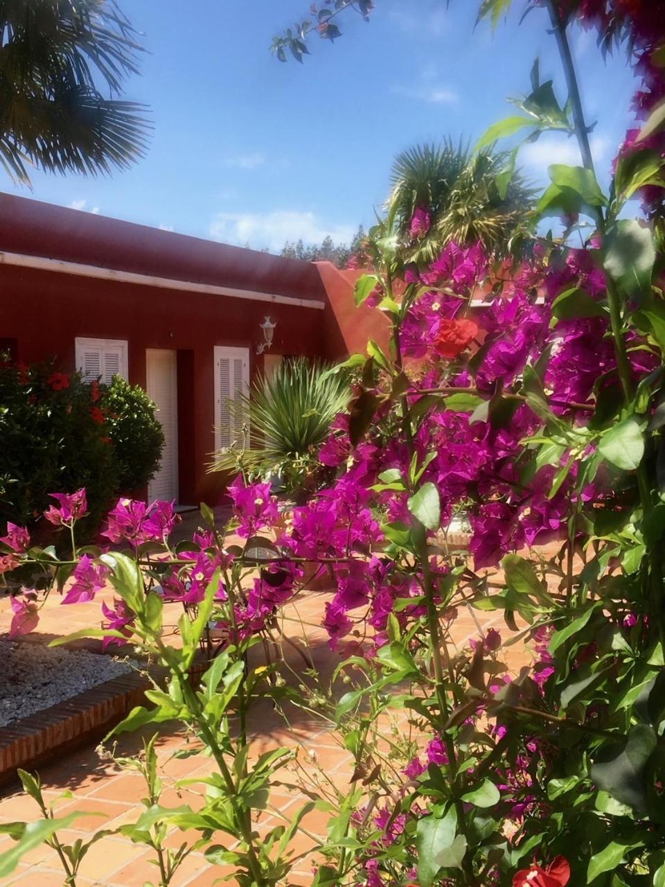 Double Superior Twin or Queen room courtyard view