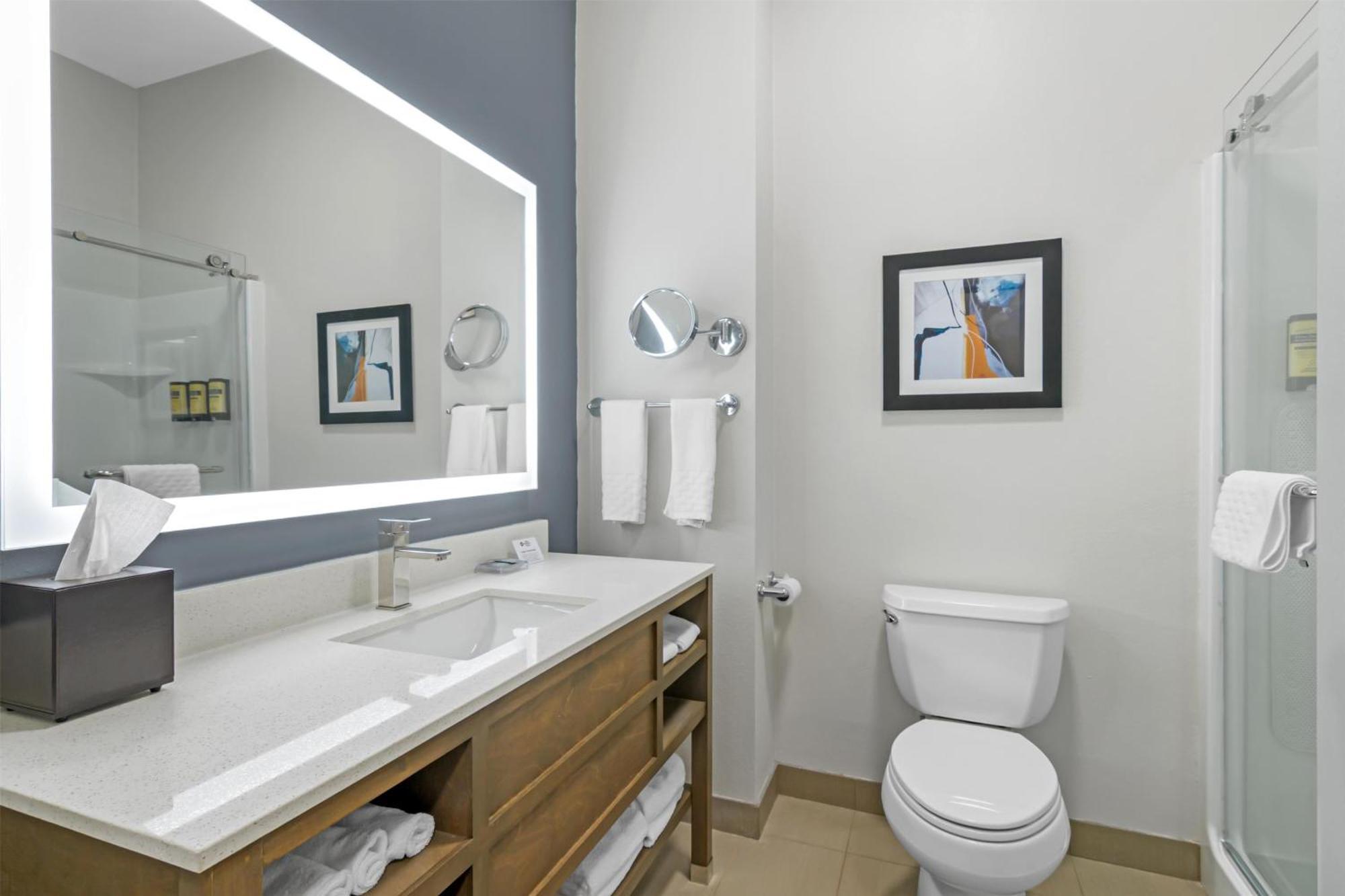 King Room Roll Shower Disability or Non-Smoking