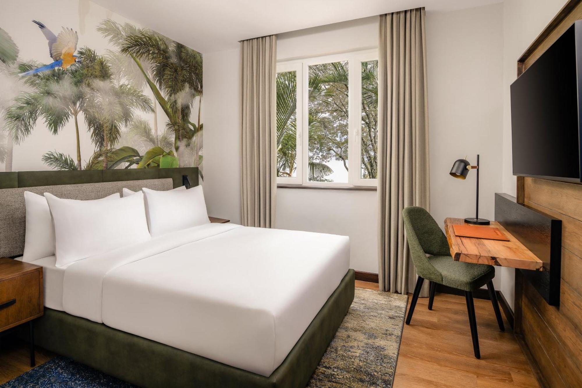 Deluxe Queen Room,1739478153:JPEG