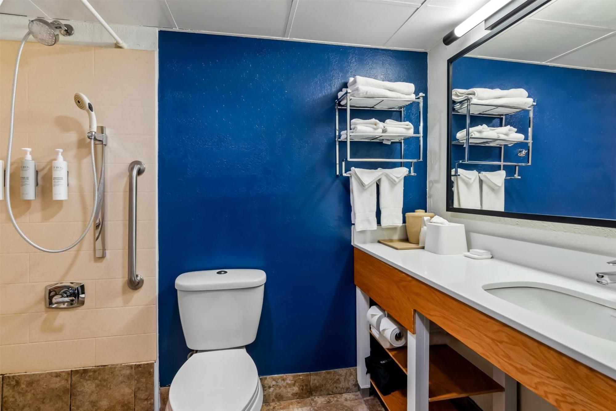 Double Room Two Double Beds Roll Shower Disability Access
