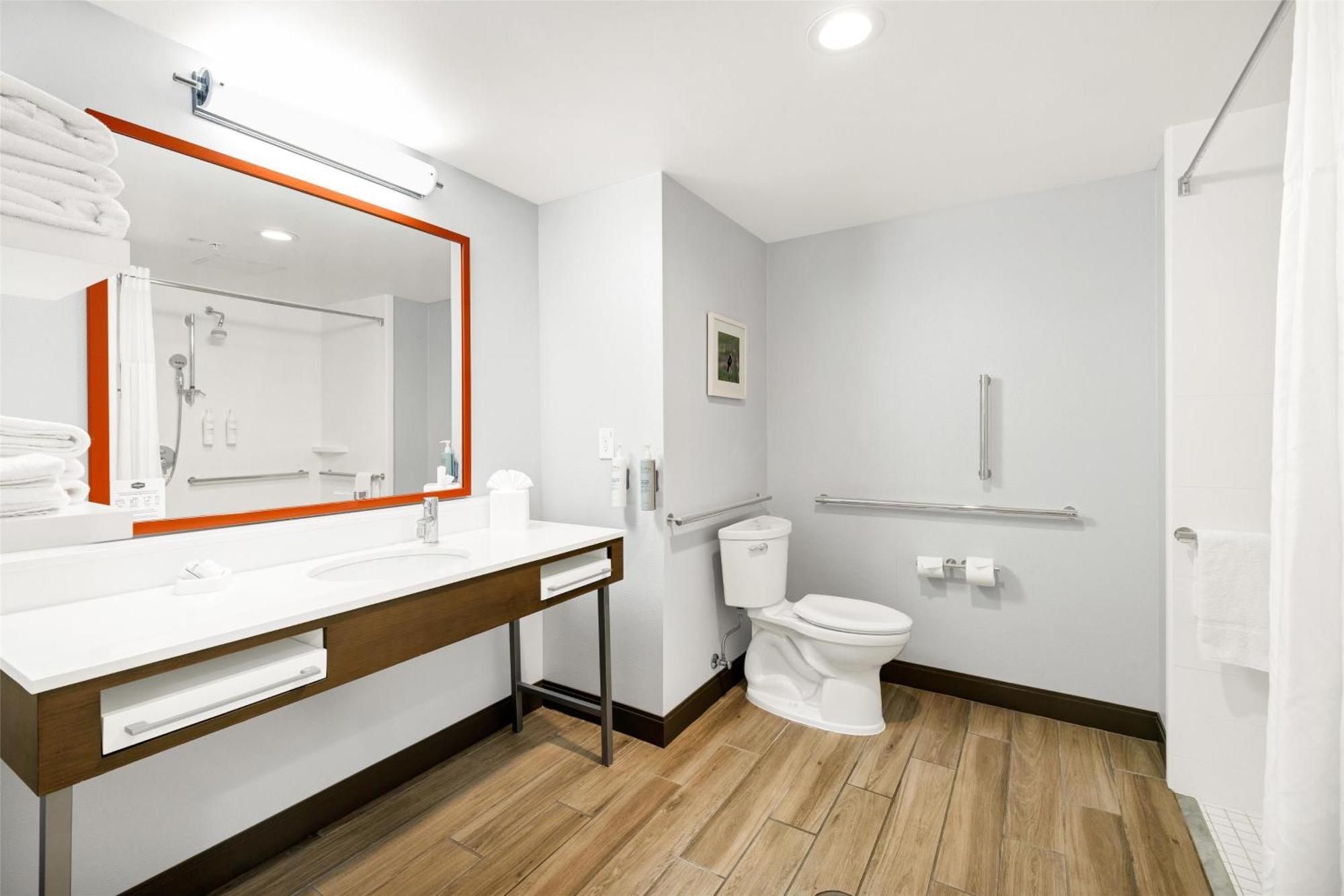 King Room Roll Shower Disability Accessible or Non-Smoking