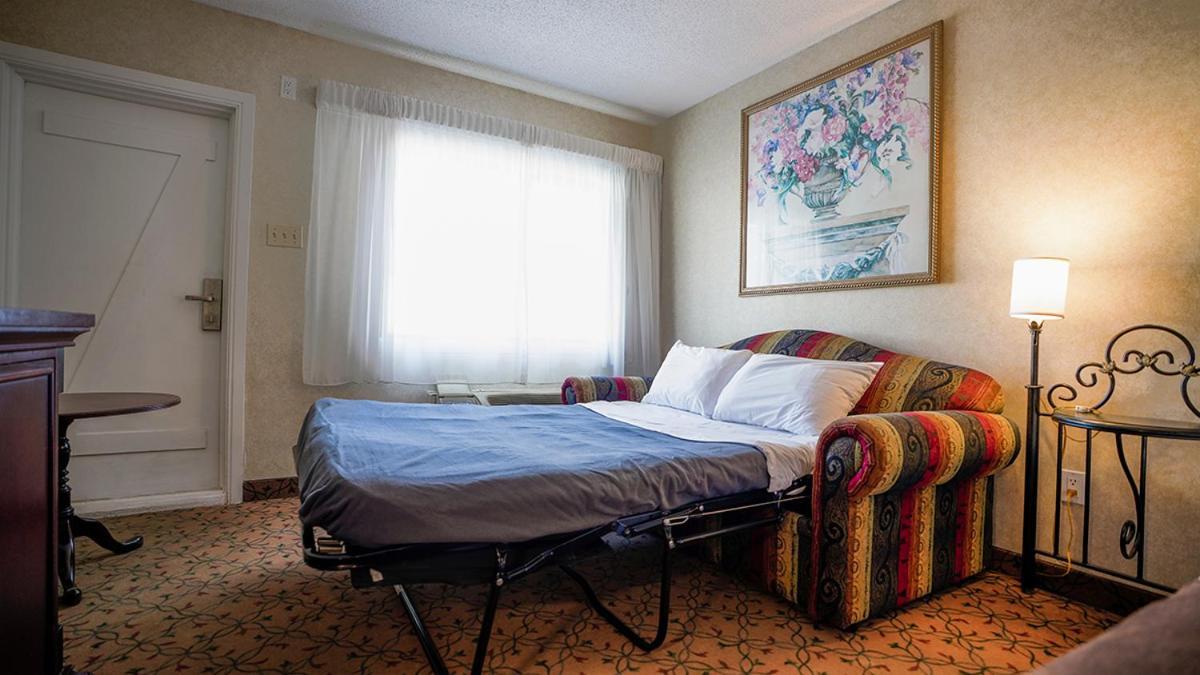 Queen Room Sofa Bed