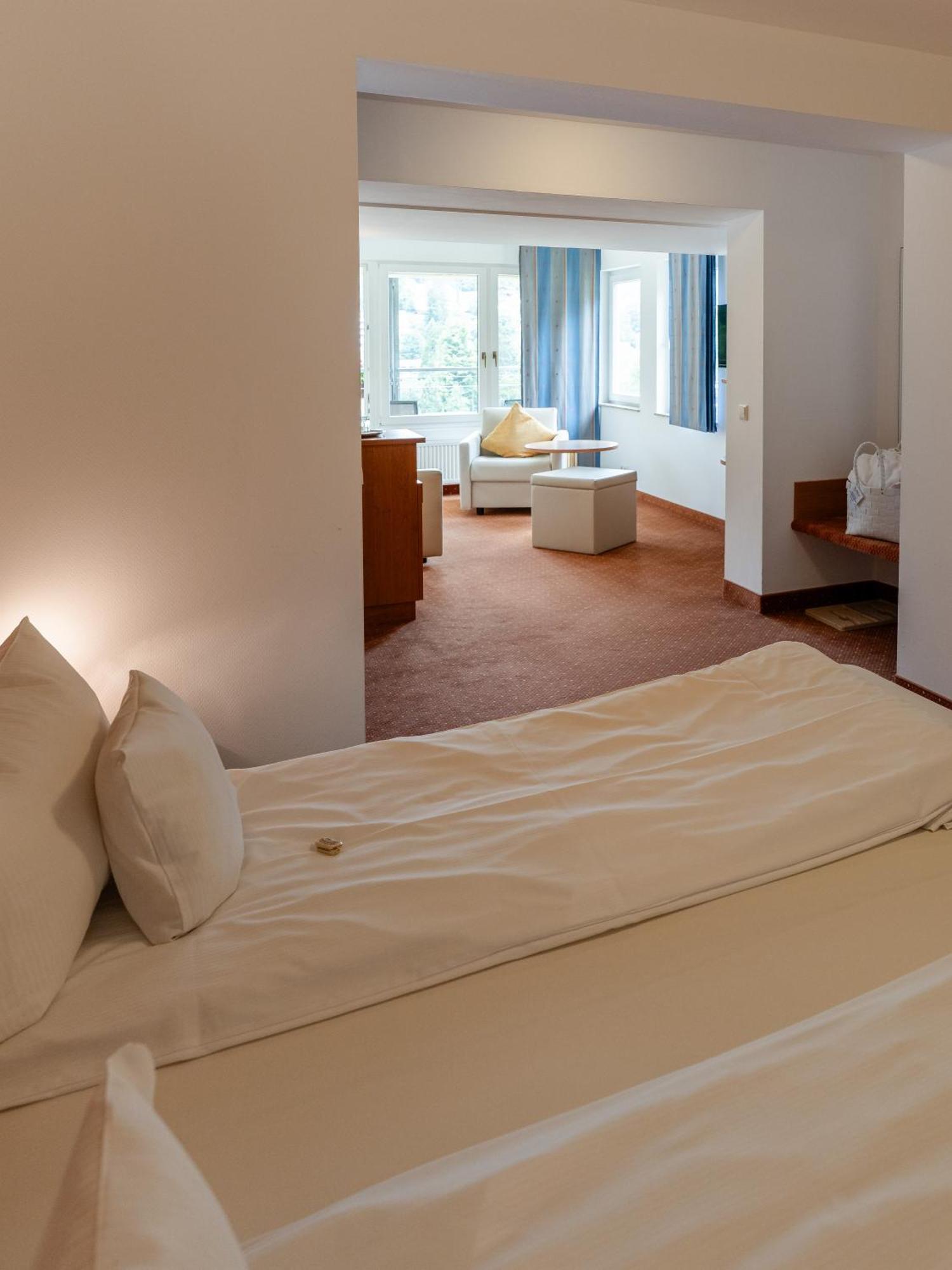 Junior Suite Mountain View