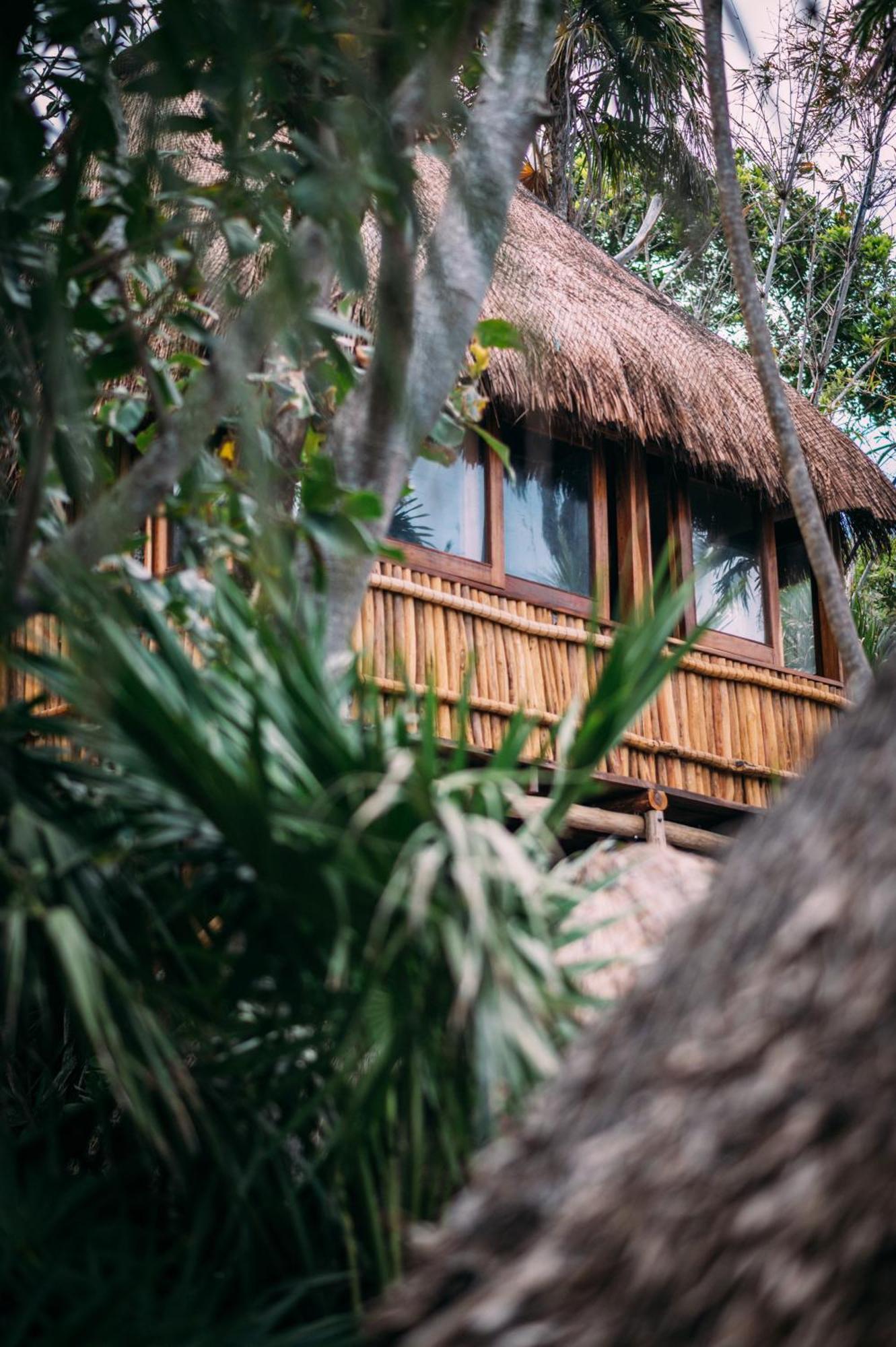 Ocean View Queen Bed Bungalow