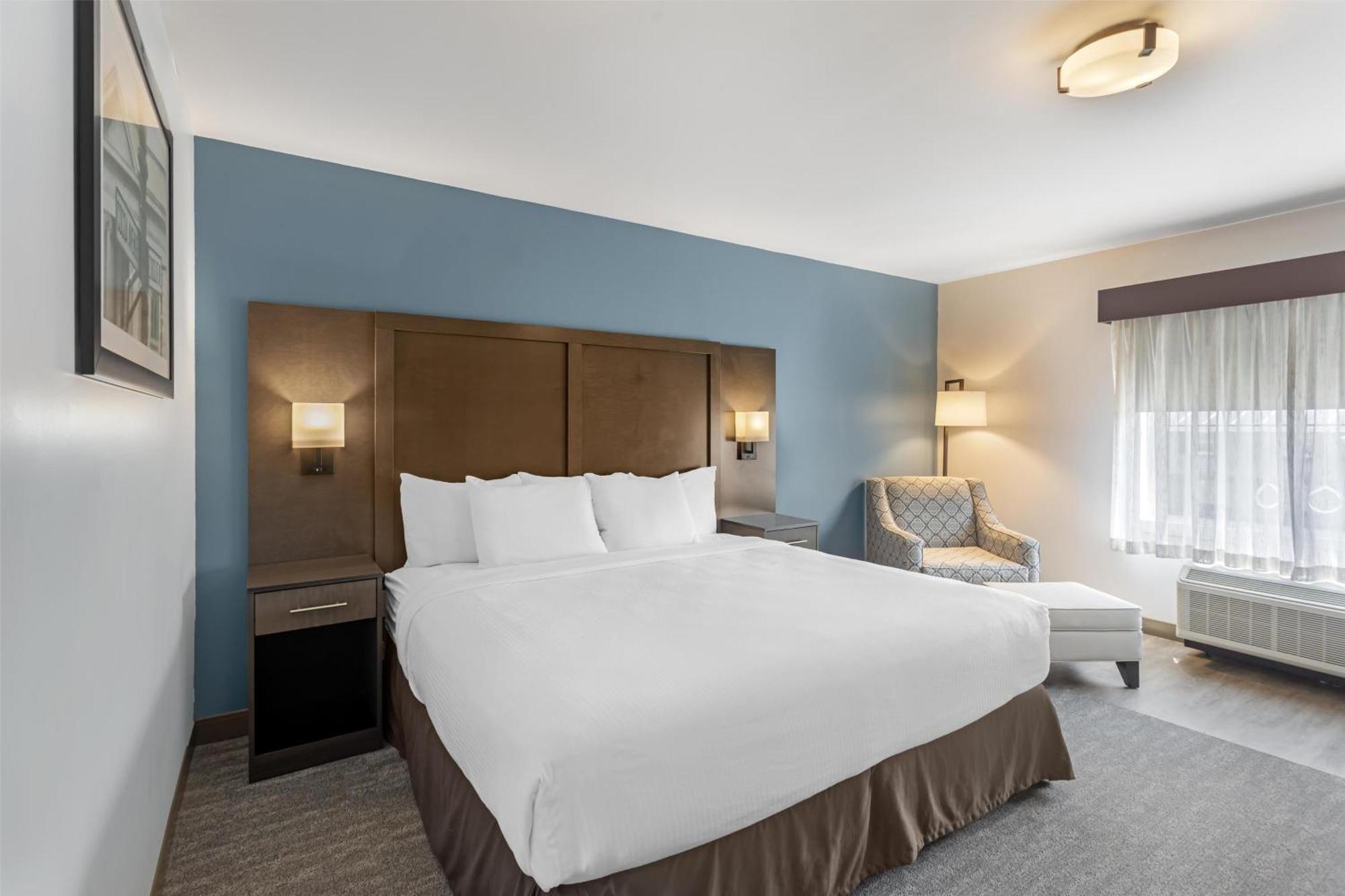 King Room with Mobility Accessible Roll-In Shower