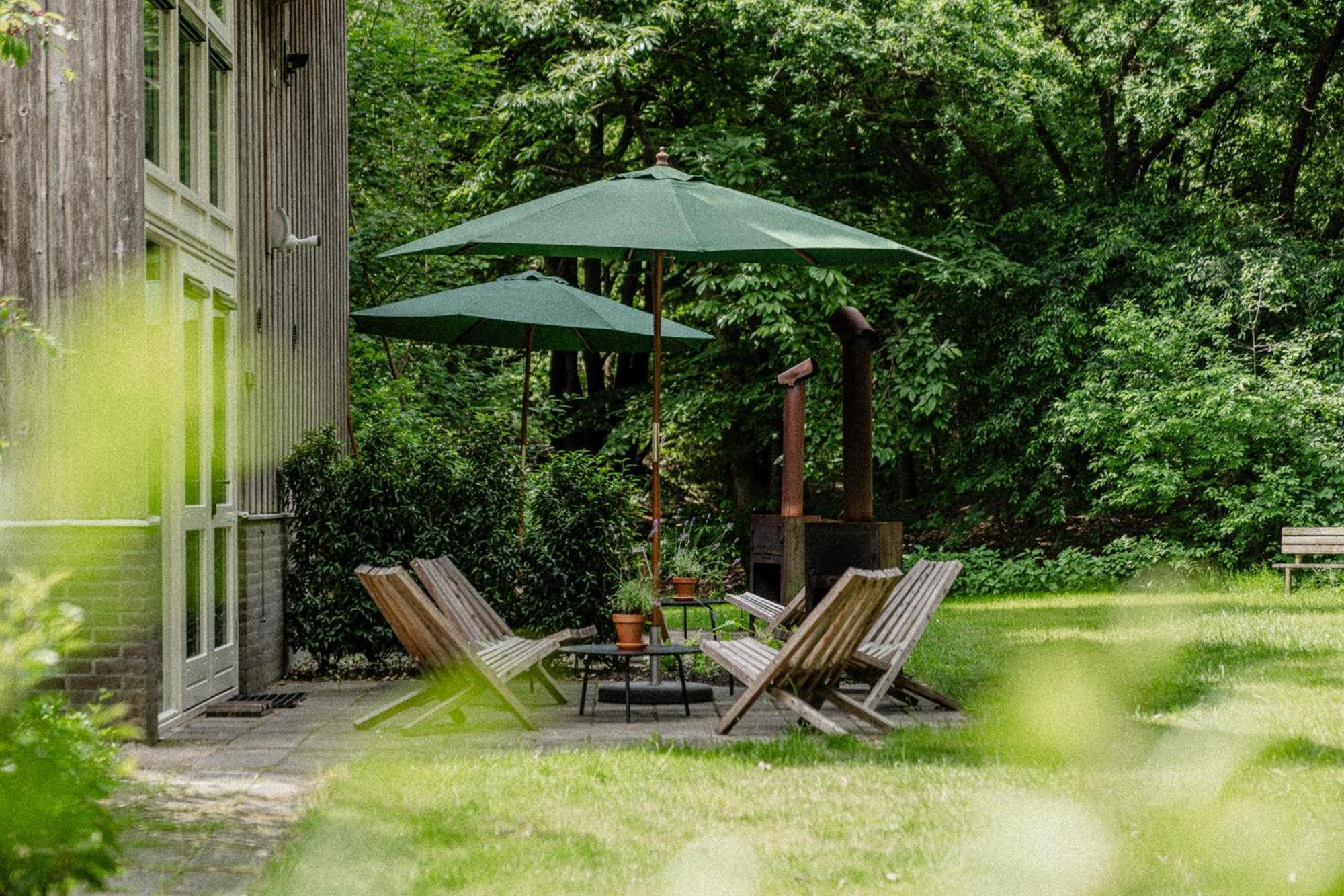 Forest – Cabin