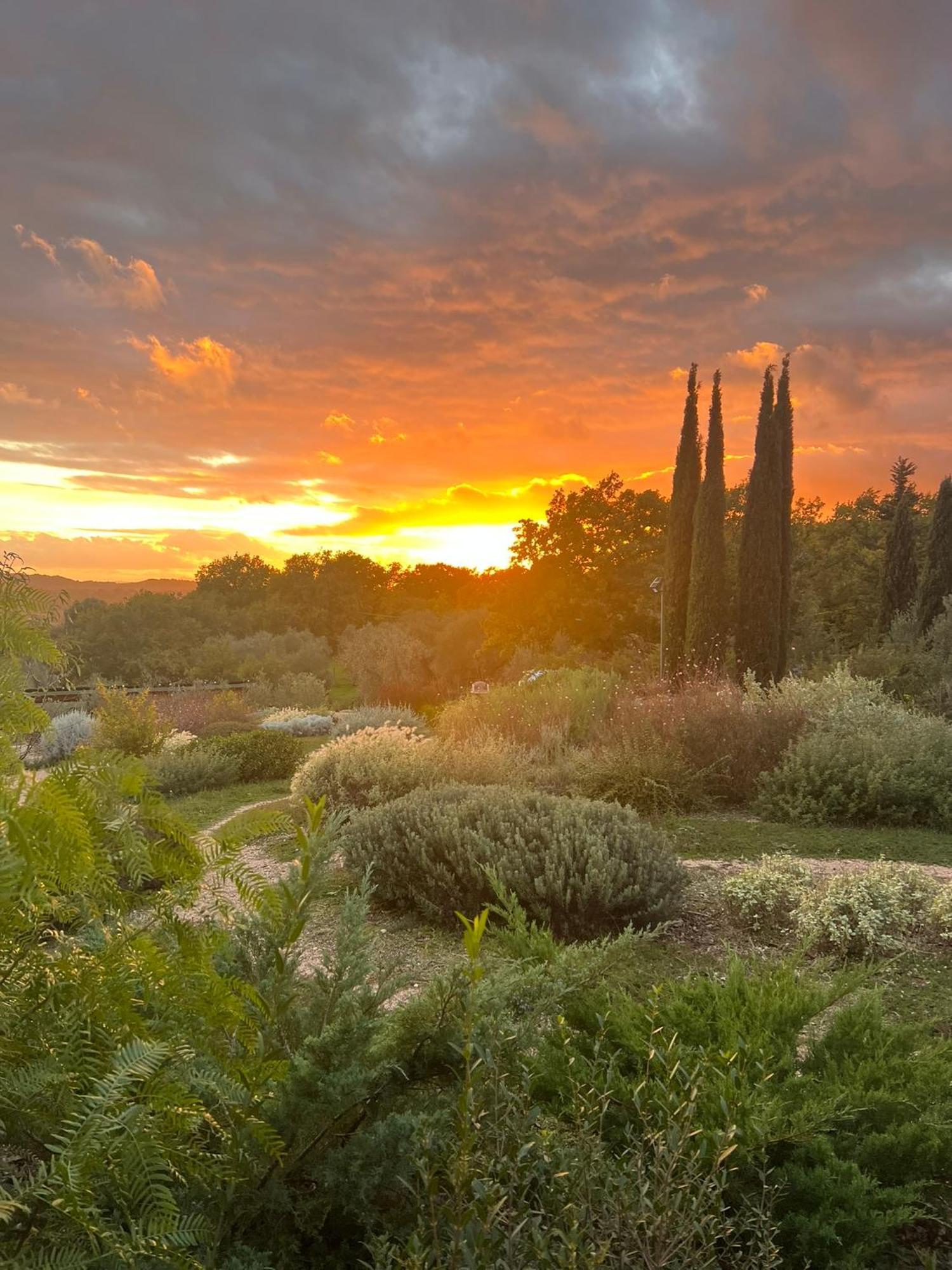 Double Room Garden View