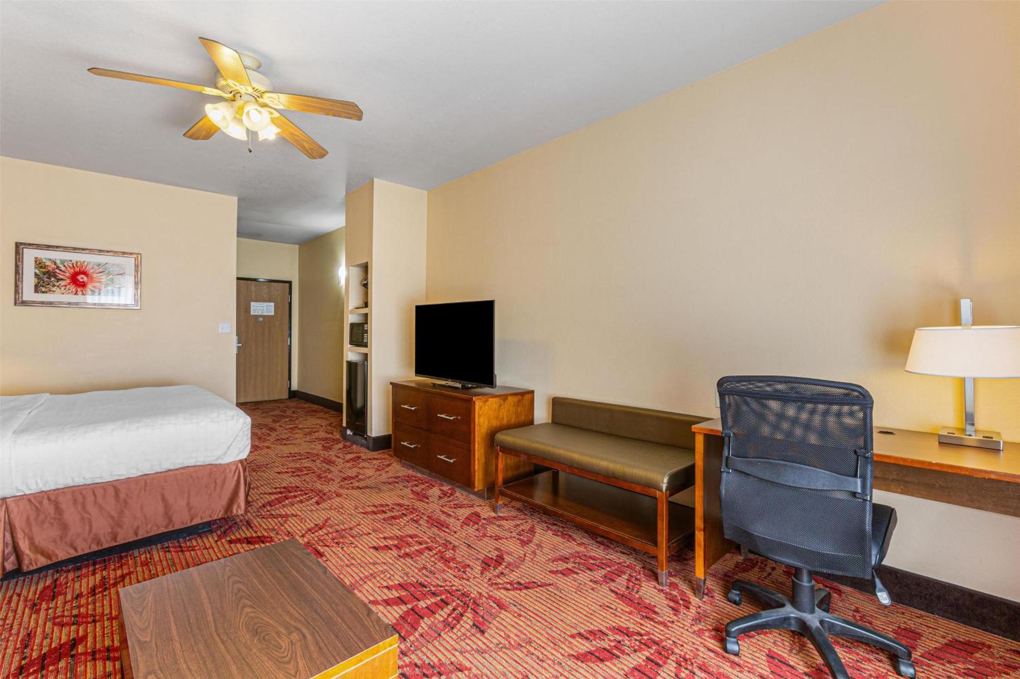 Large King Room Non-Smoking