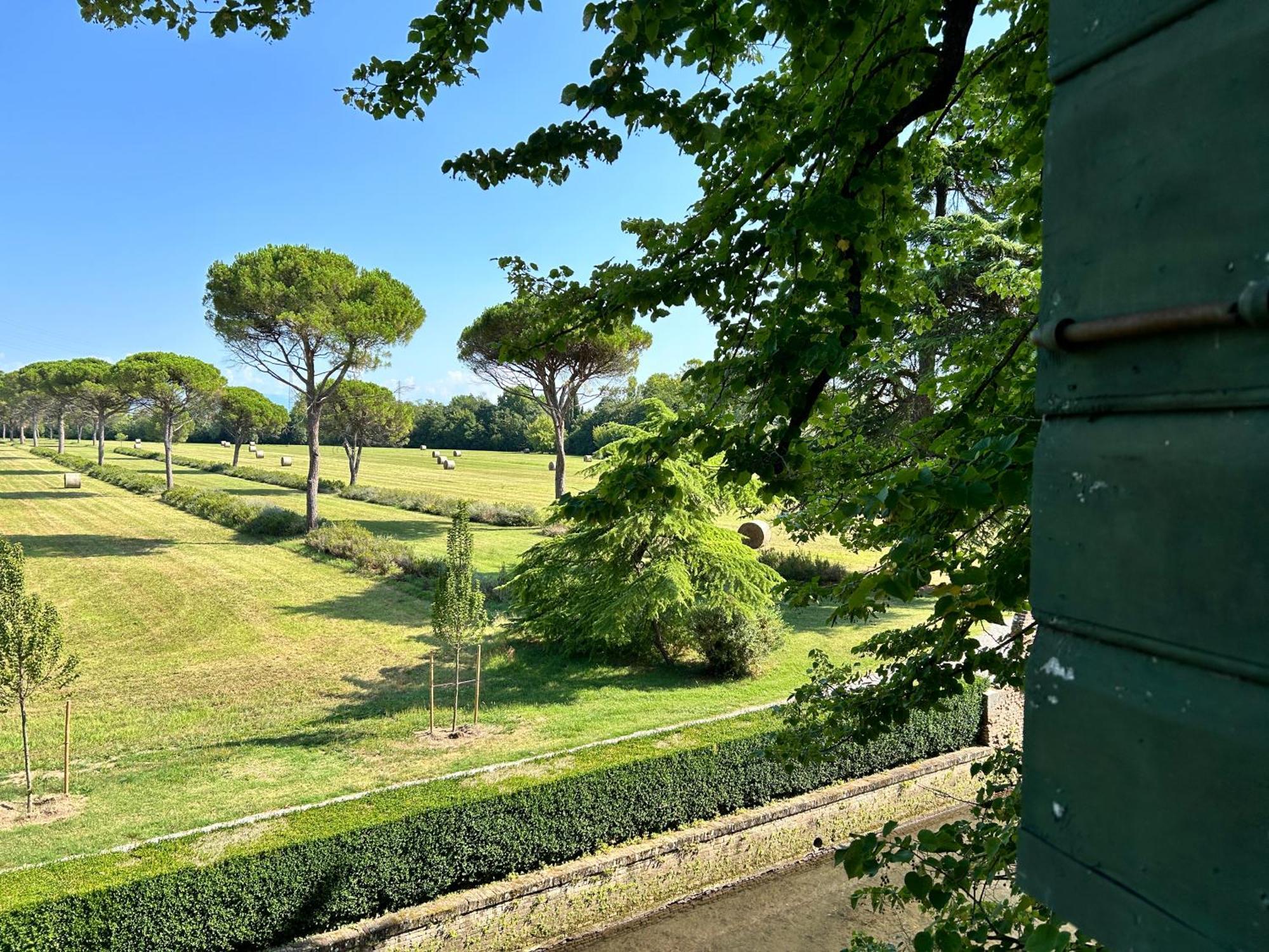 Double or Twin Room Garden View
