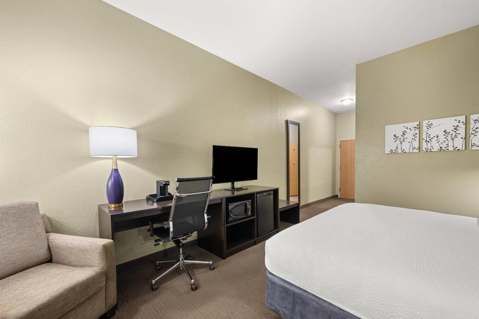 King Room Accessible or Non-Smoking