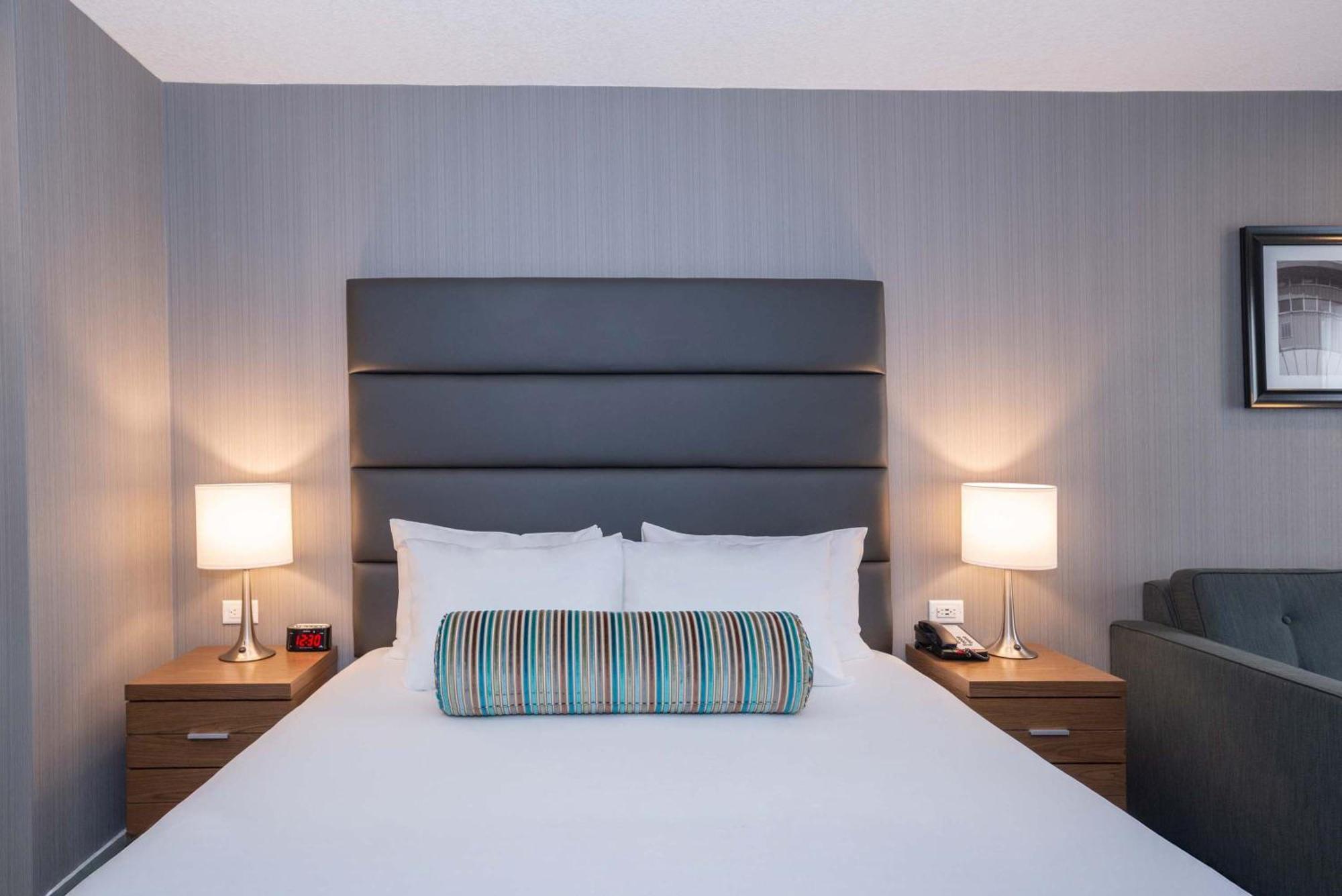 Standard Room 1 King Bed Sofa Bed
