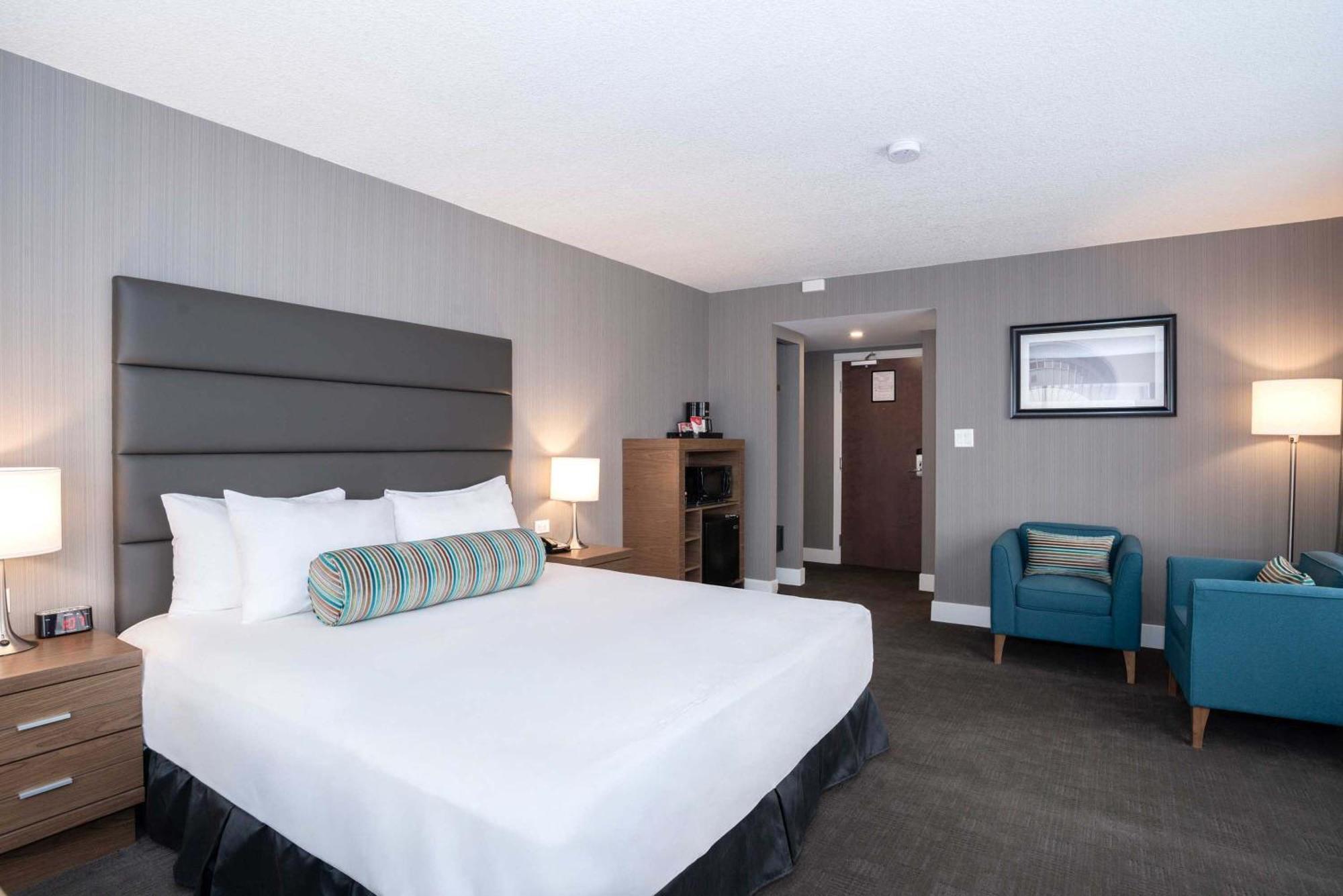 Standard Room 1 King Bed