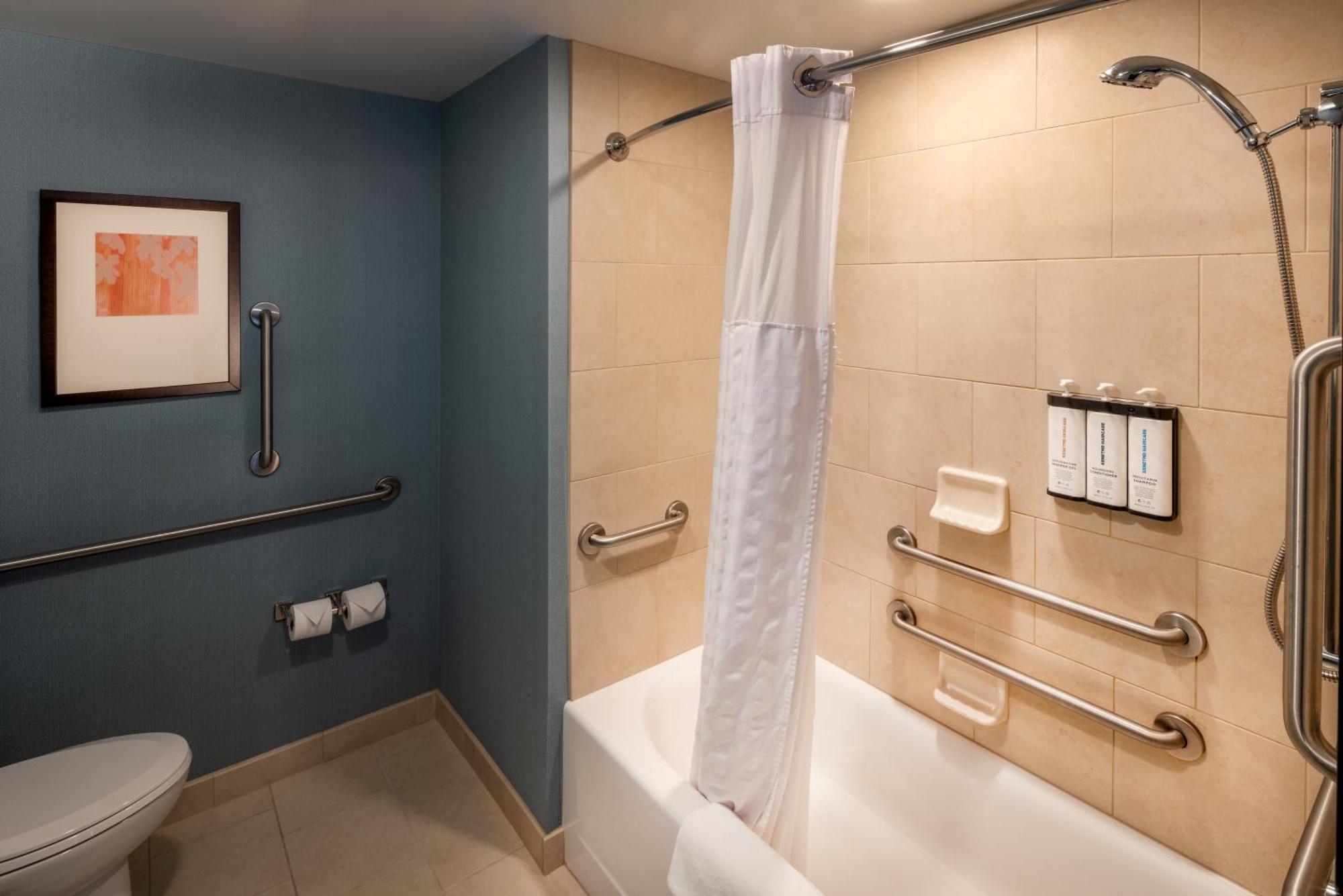 King Room Sofa Bed Accessible Tub Disability Access