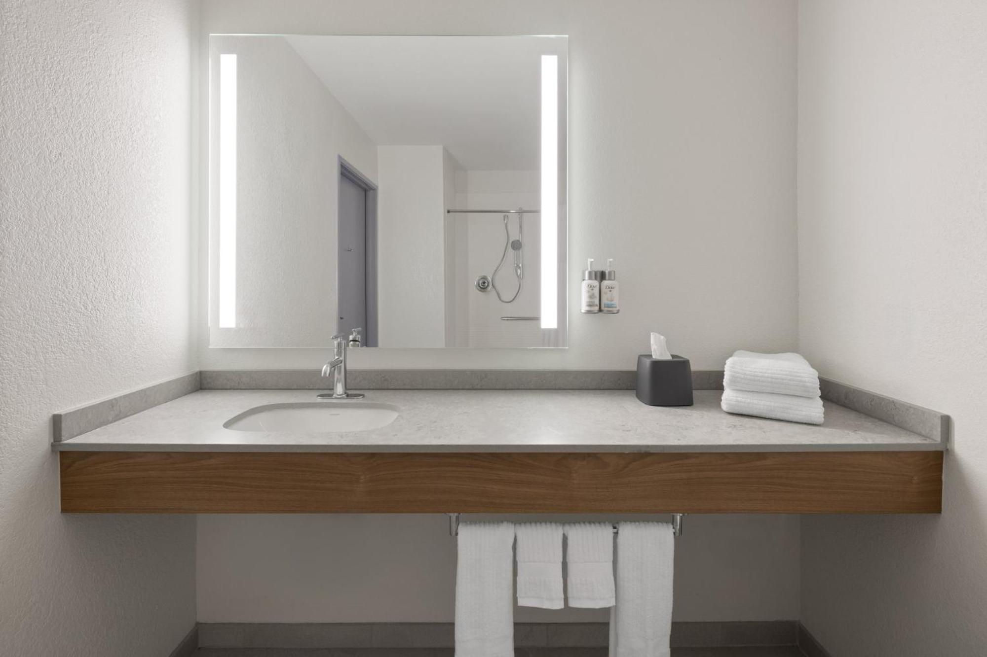 Standard King Room Mobility Accessible Roll Shower
