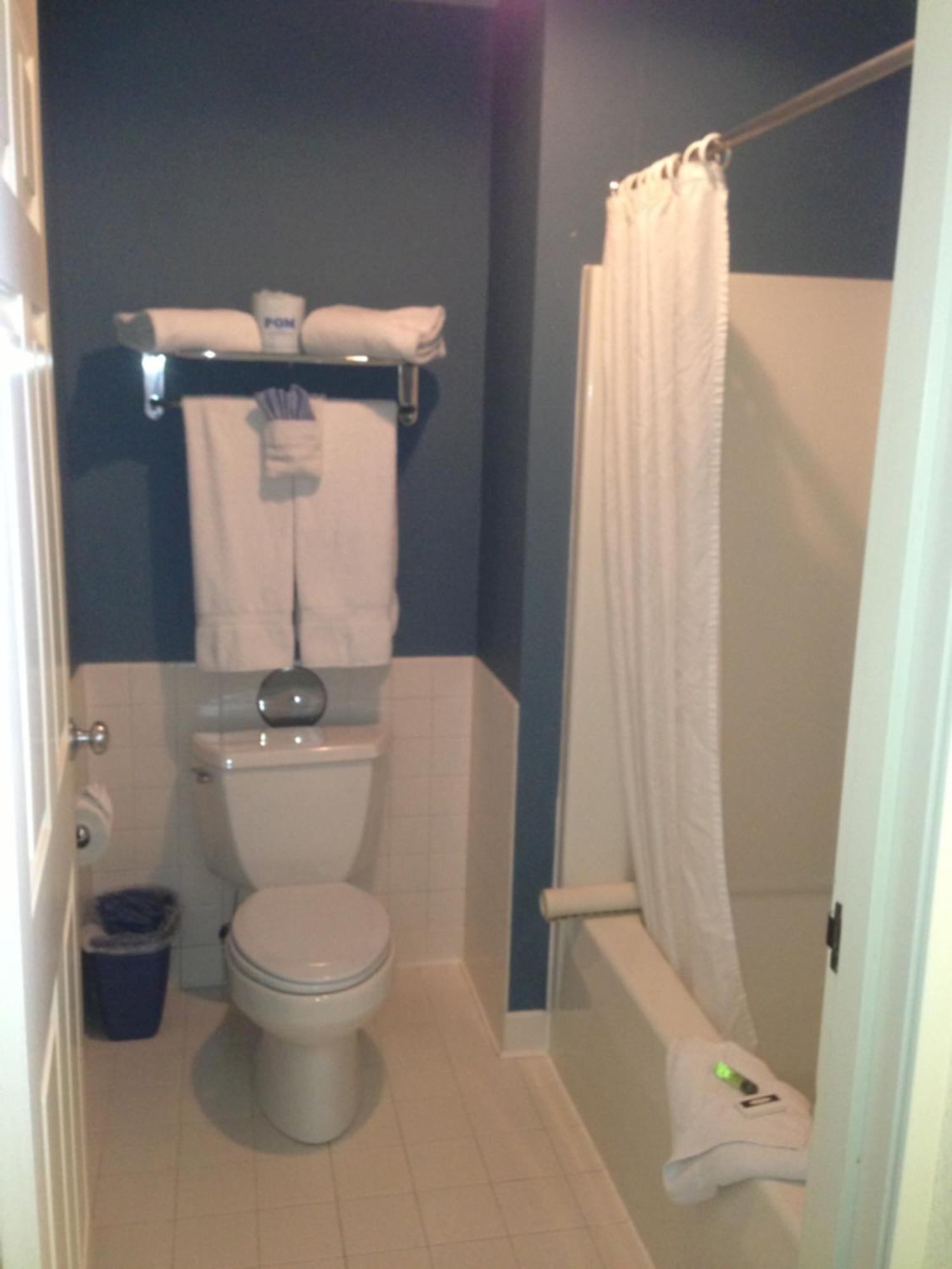 Premium Two Double Beds