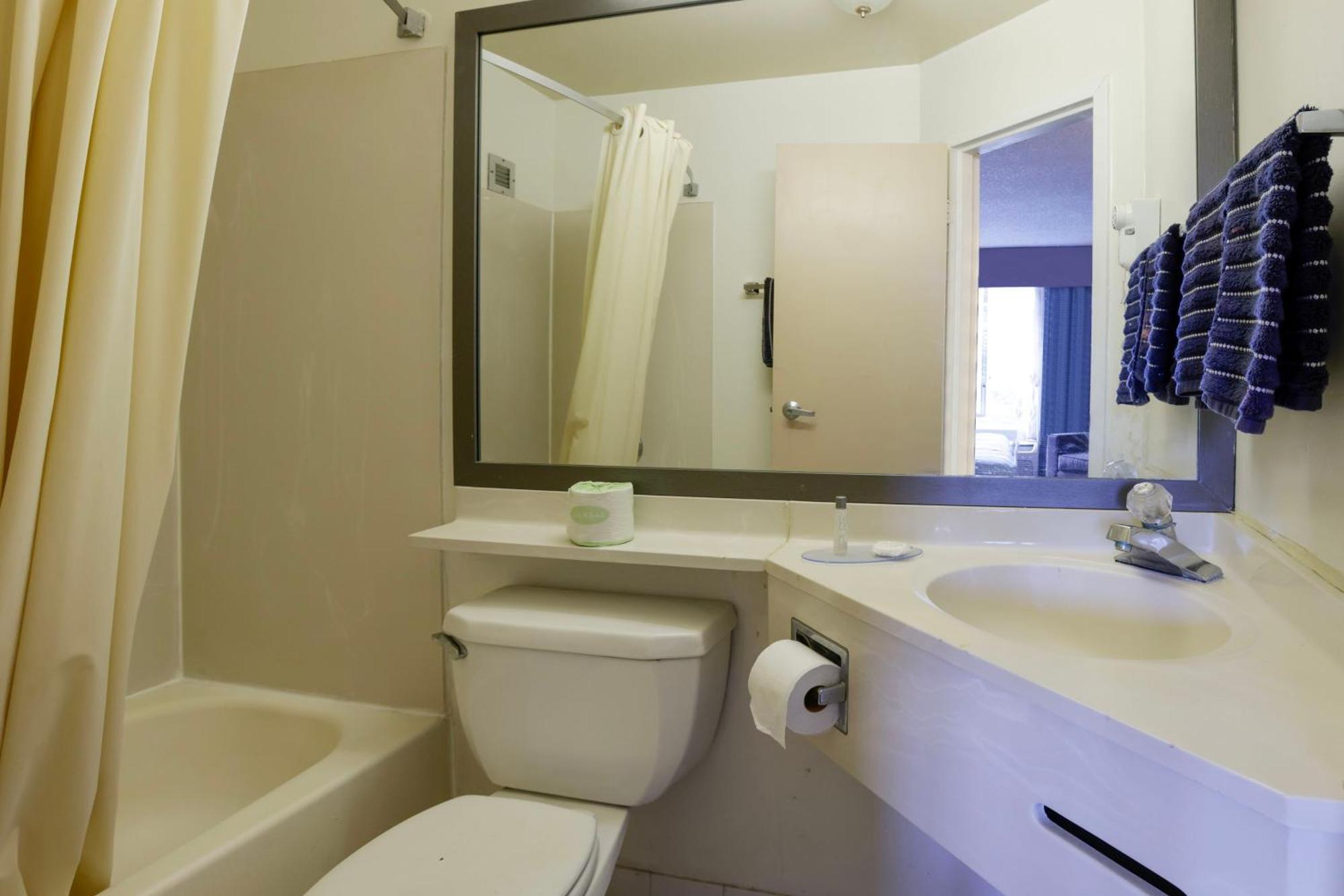 Suite King Bed