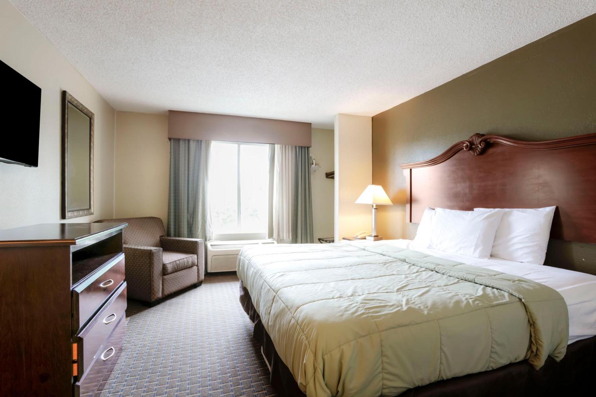 Suite King Bed