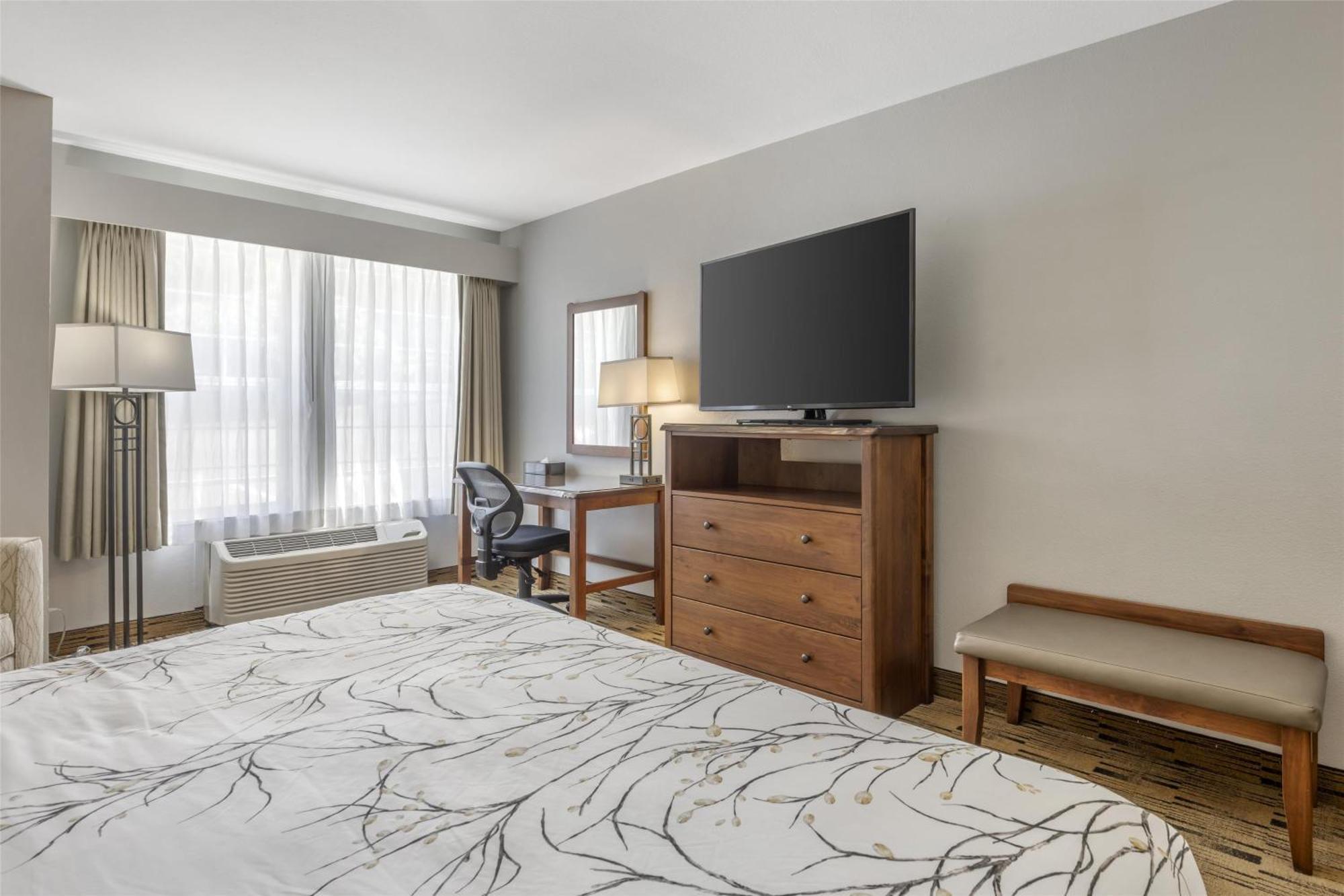 King Room View Disability Access or Non-Smoking