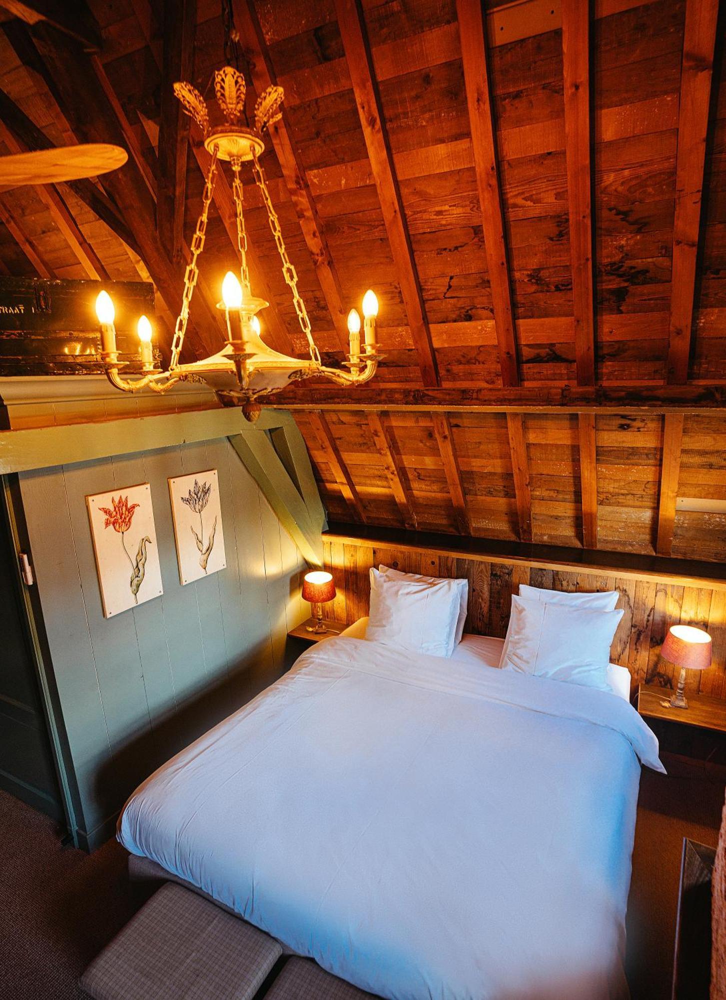 Cosy 13